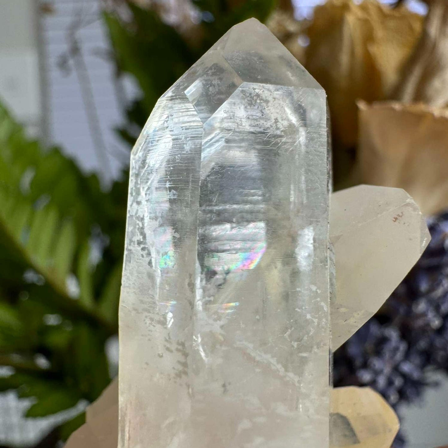 Baby natural clear+citrine cluster