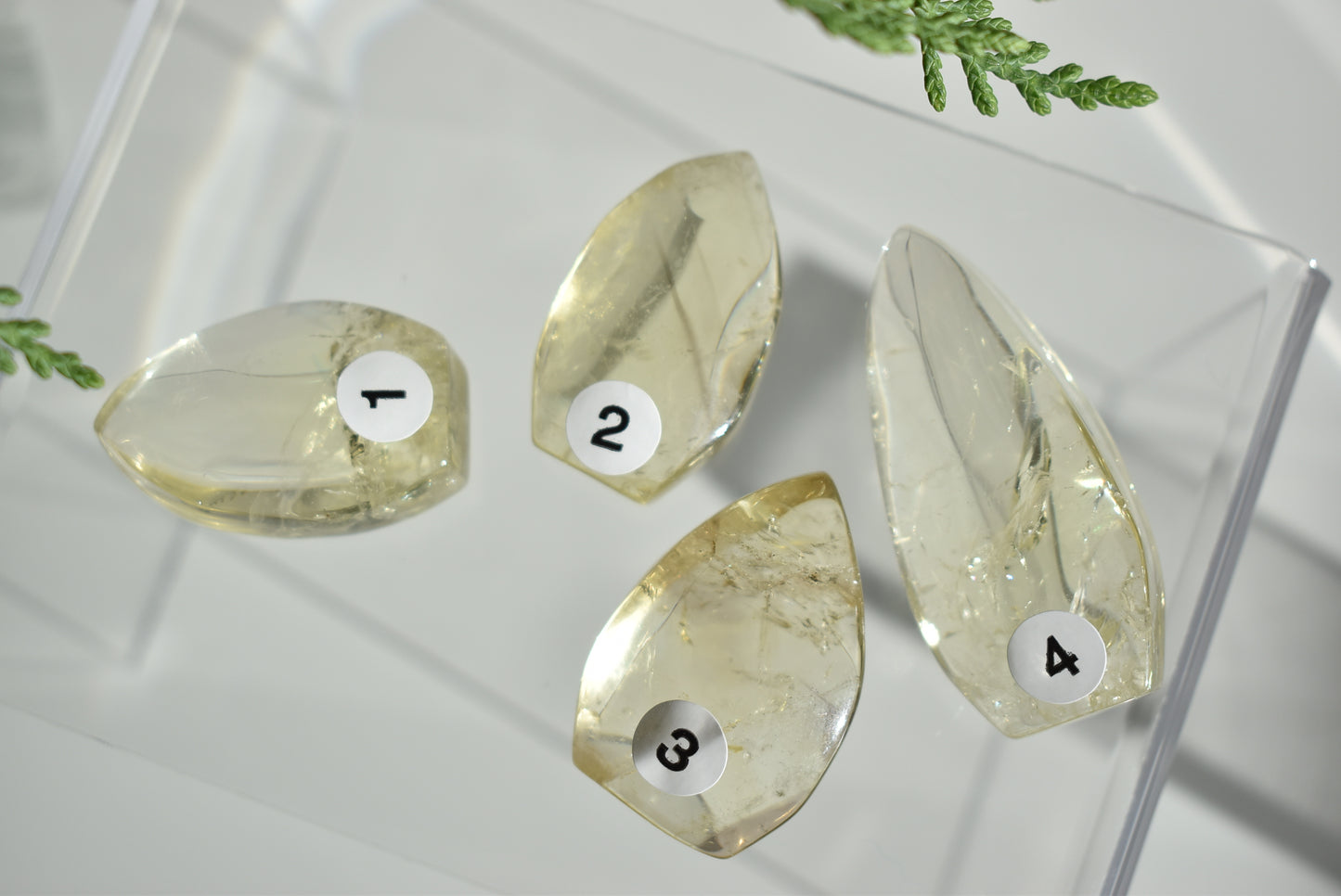 Baby Citrine Flame