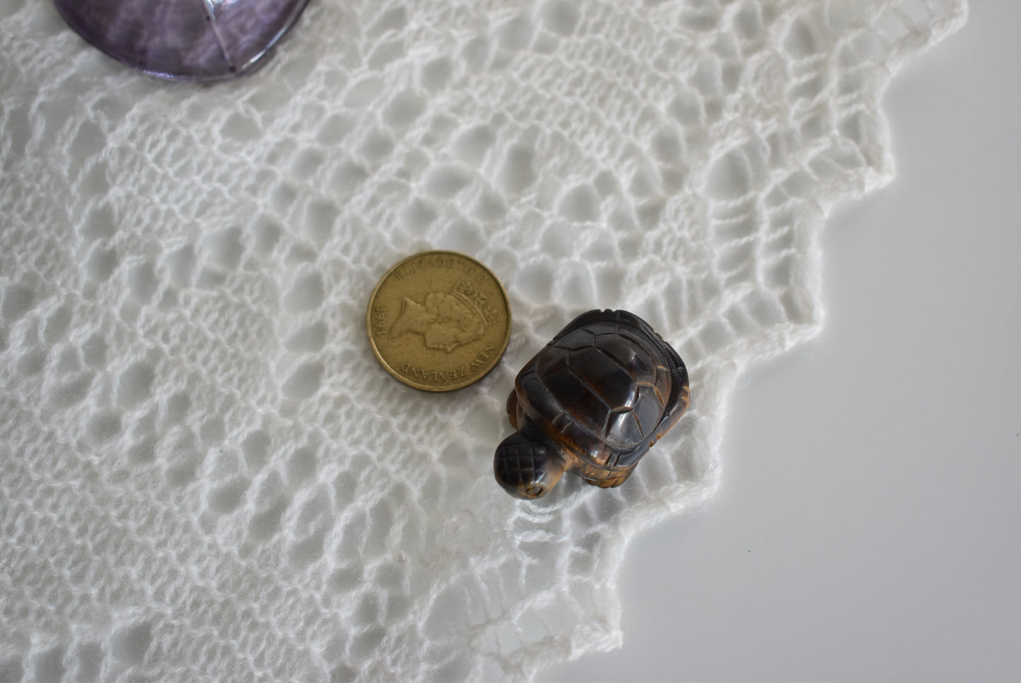 Tigers Eye Turtle