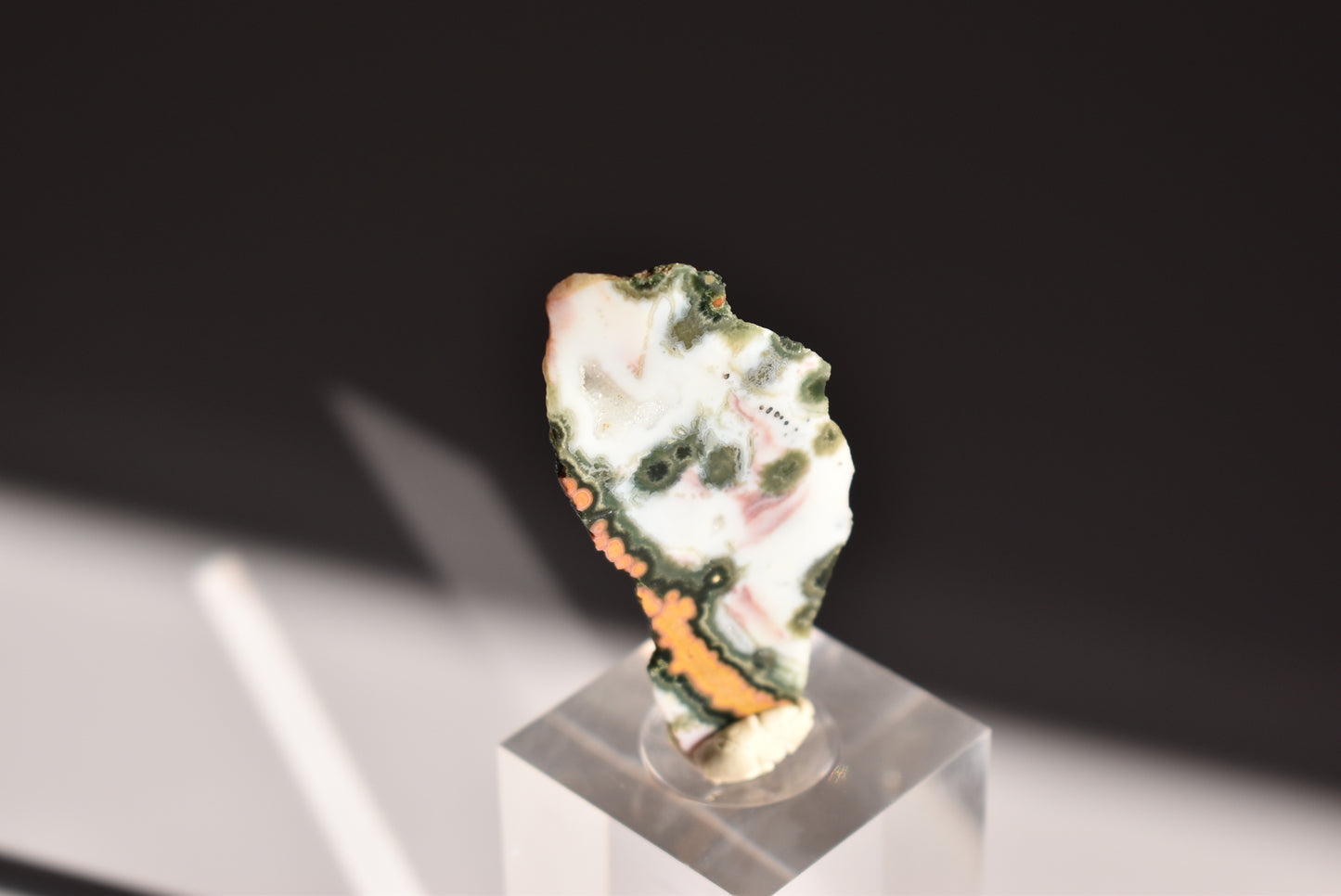 Old Stock Orbicular Ocean Jasper Slab 11g