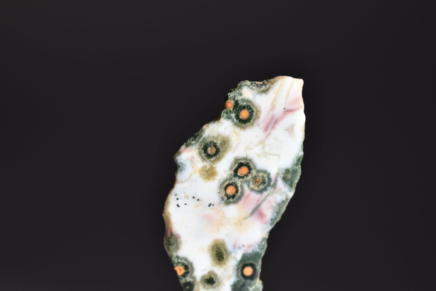 Old Stock Orbicular Ocean Jasper Slab 11g