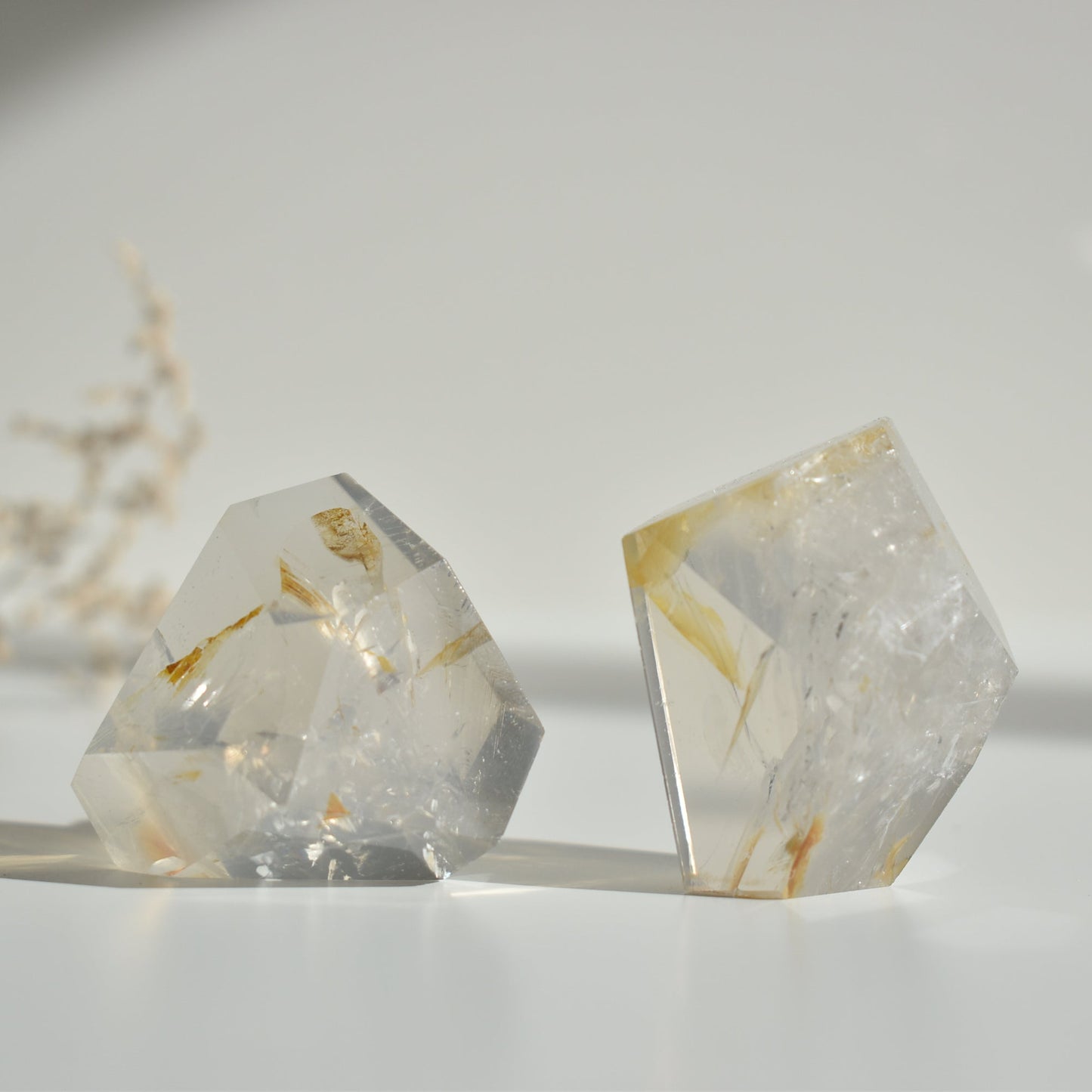 Golden Healer Freeform