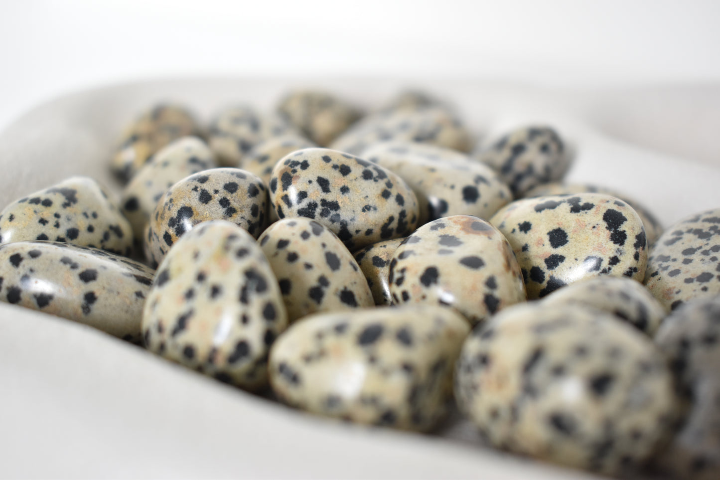 Dalmatian Jasper Tumbles