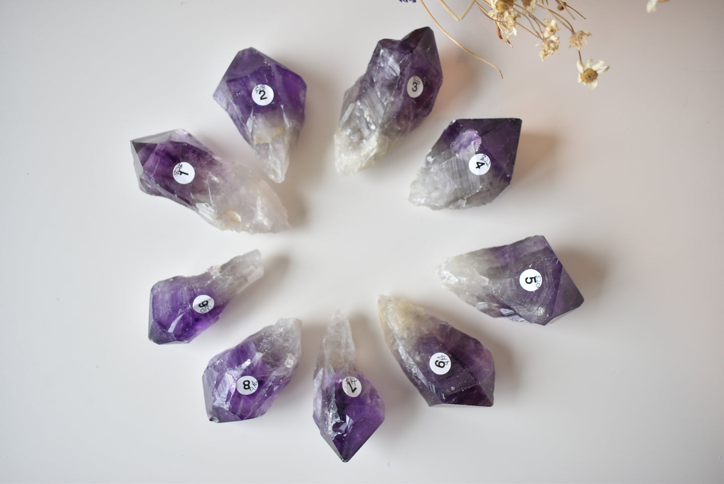 High Grade Brazil Amethyst Raw points