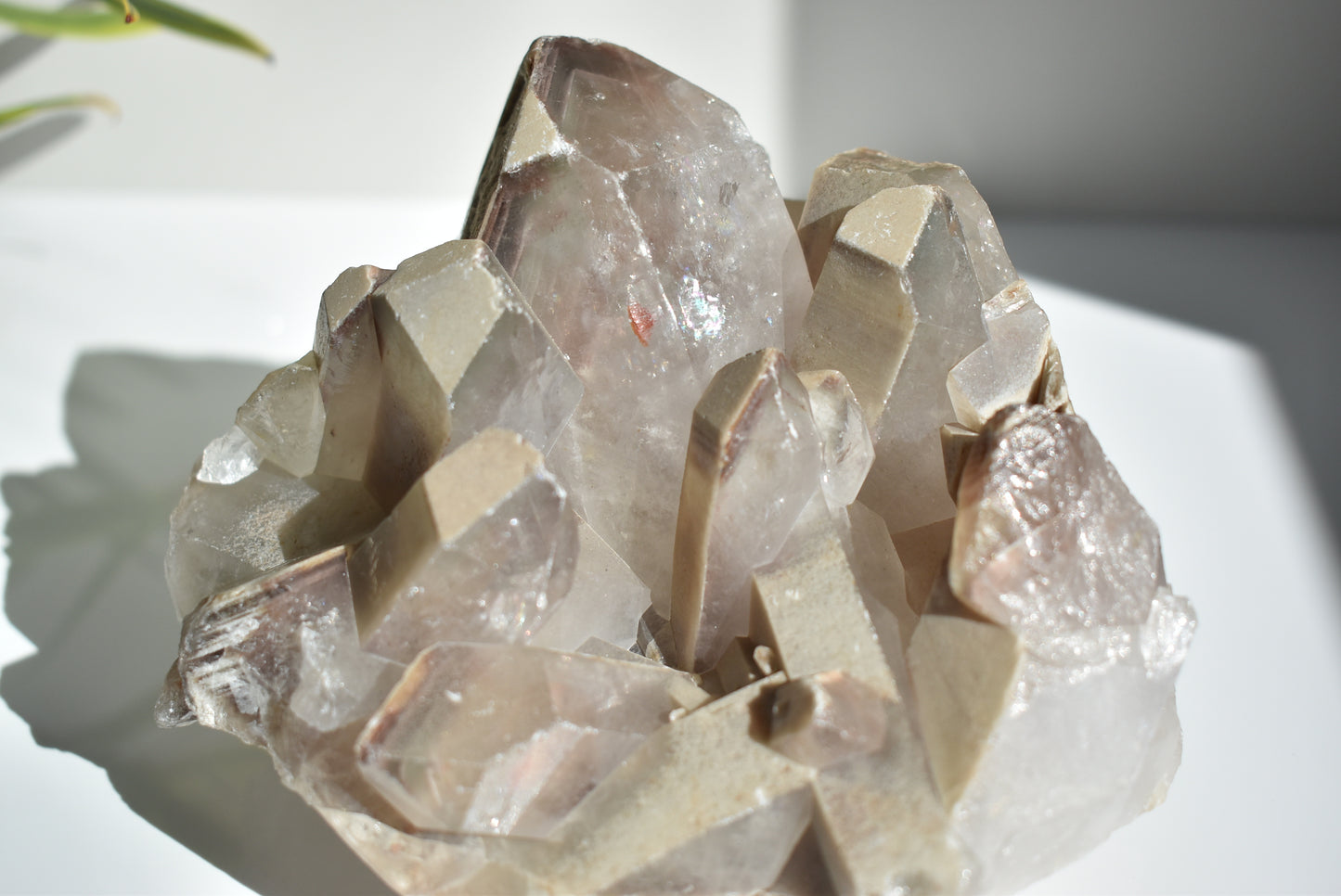 Garden Quartz Lodolite Cluster 1137g