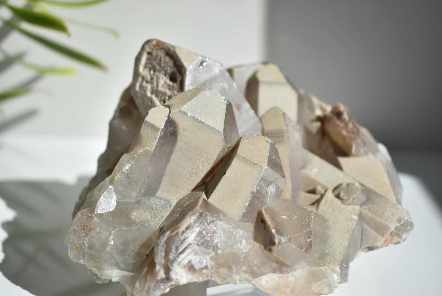 Garden Quartz Lodolite Cluster 1137g