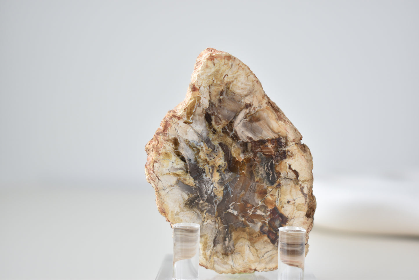 Petrified Wood #2 86g