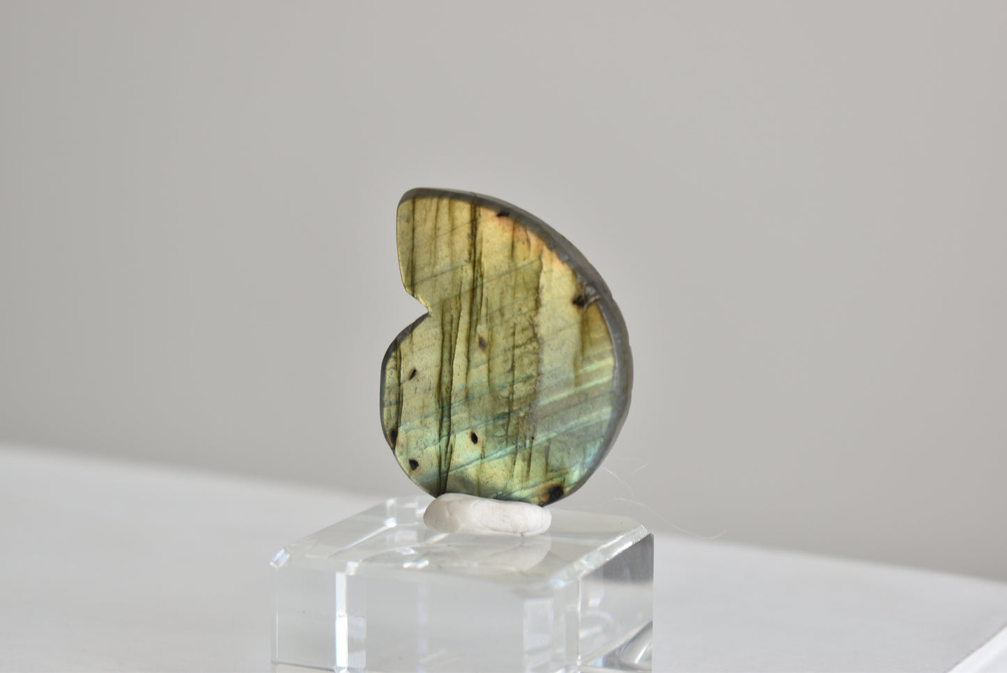 Labradorite Snail Shell #5
