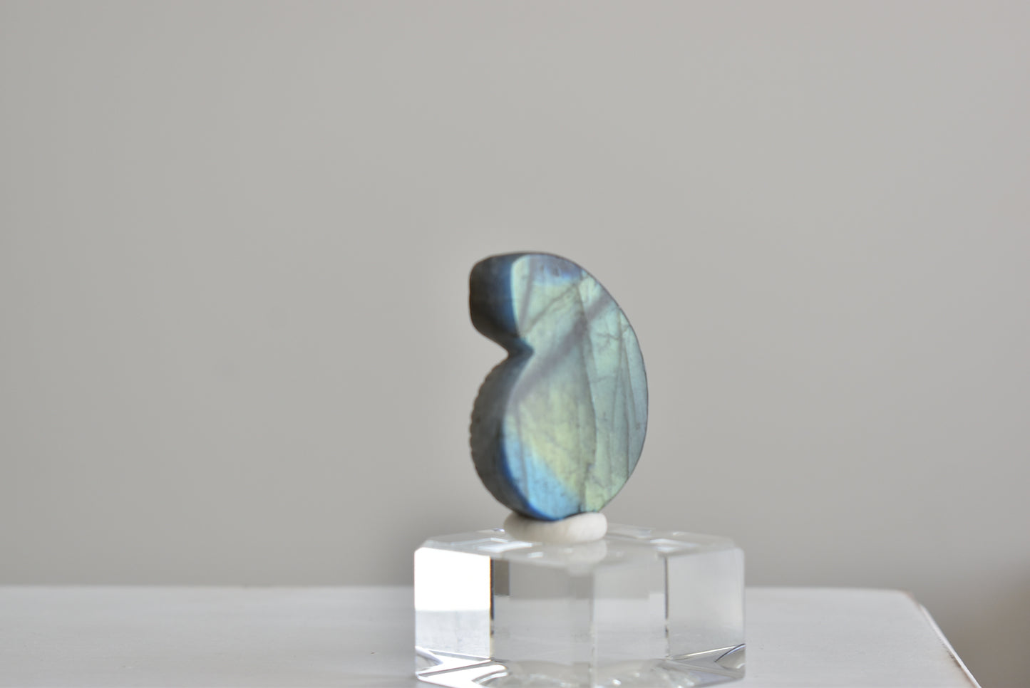 Labradorite Snail Shell #3