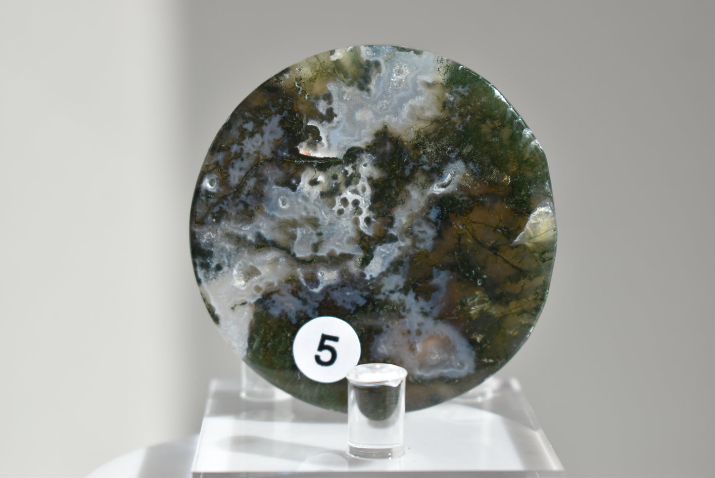 Round Moss Agate Plate