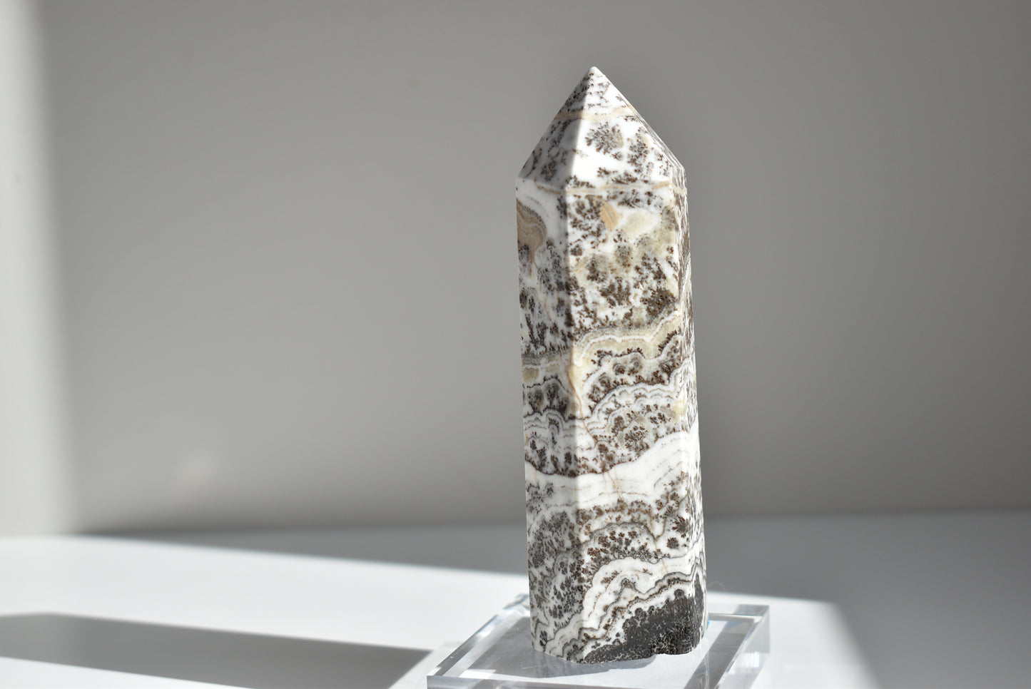 Dendritic Calcite Point