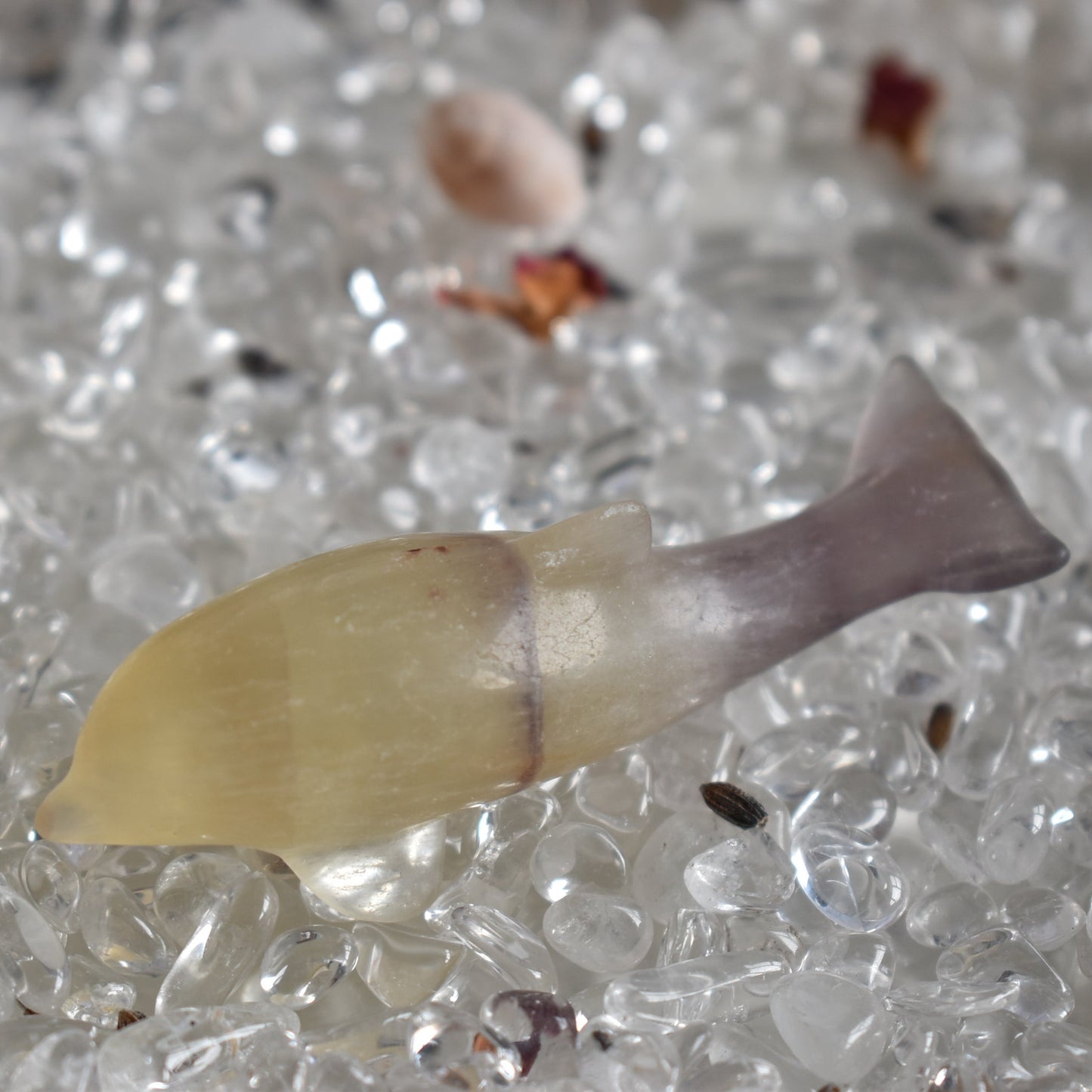 Fluorite Carving Dolphin
