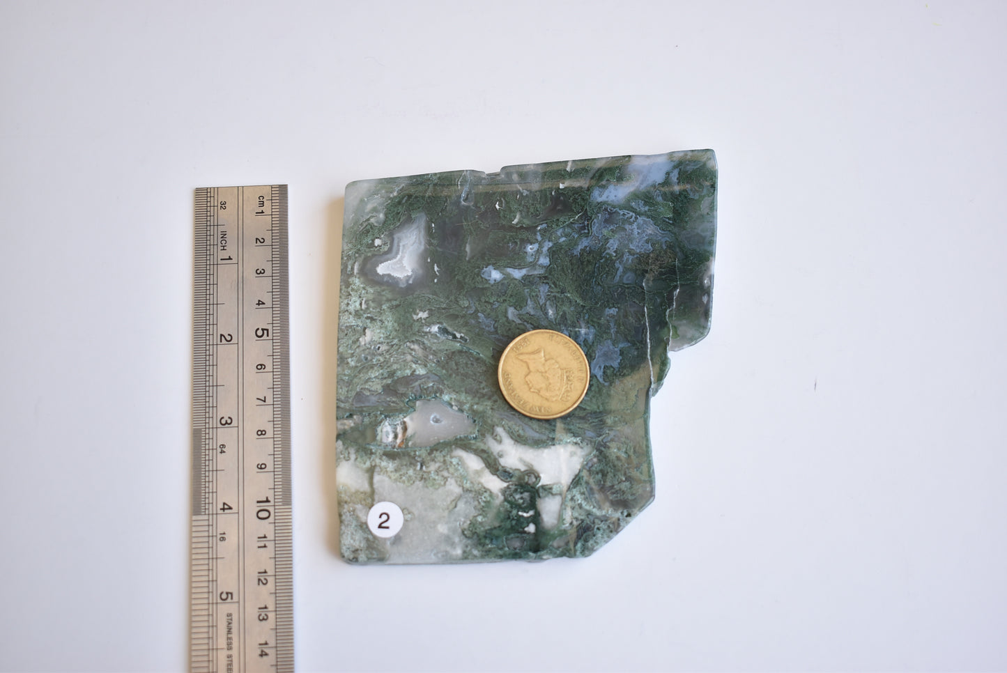 Moss Agate Slab #2 299g