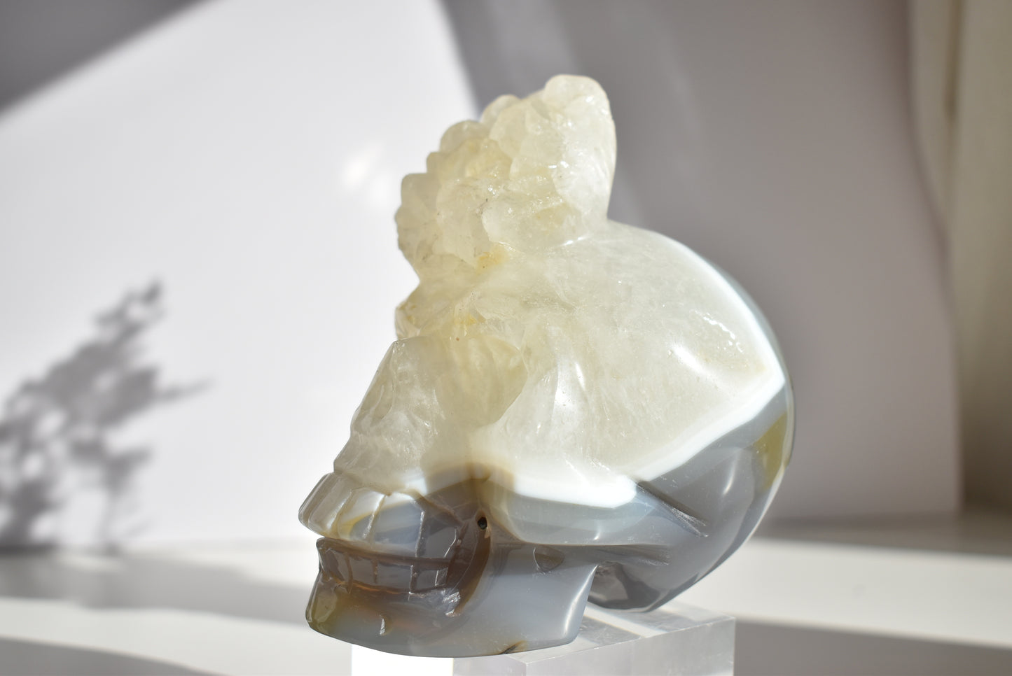 Large Agate Skull Carving with Dendritic 1kg