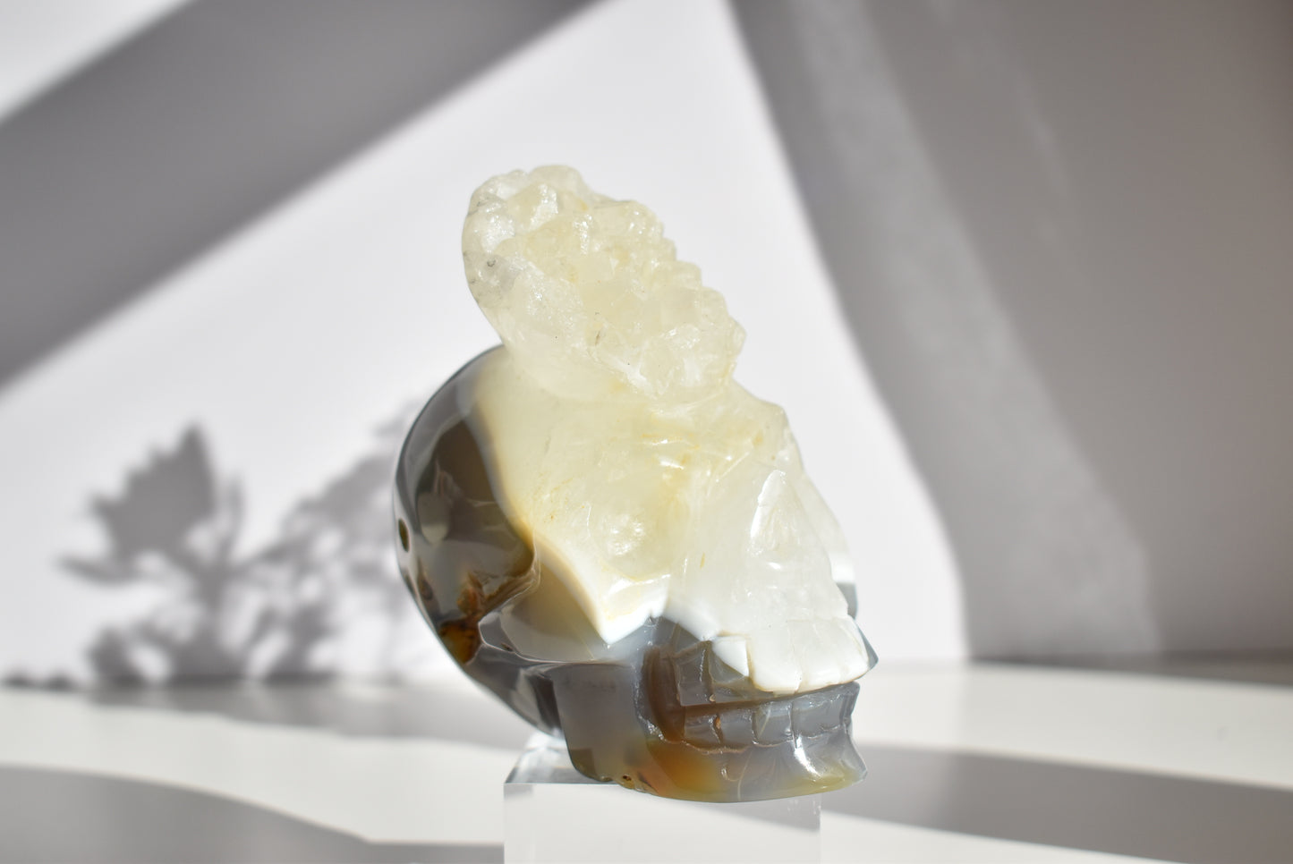 Large Agate Skull Carving with Dendritic 1kg