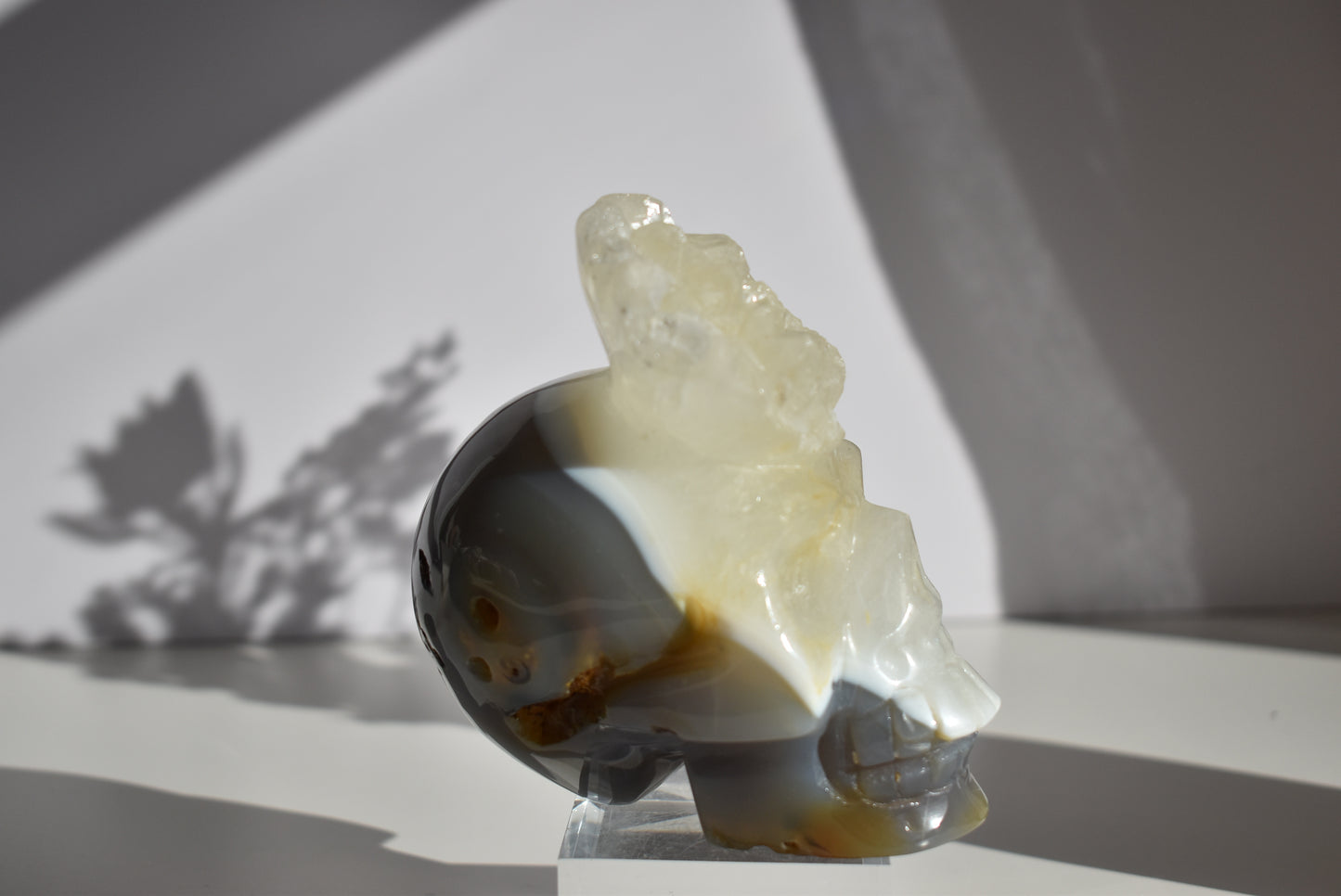 Large Agate Skull Carving with Dendritic 1kg