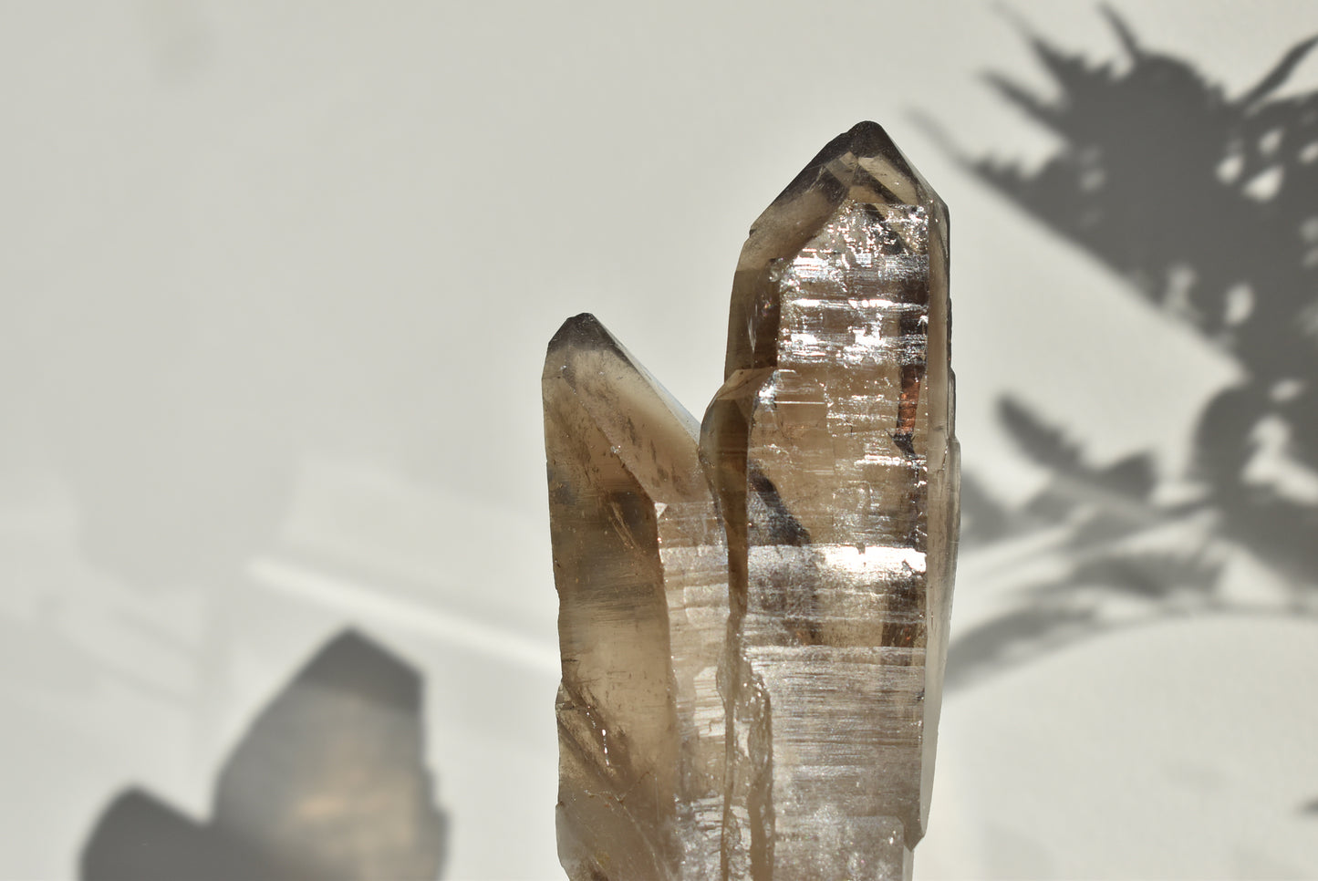 Soulmate Smoky Quartz Raw (Brazil)