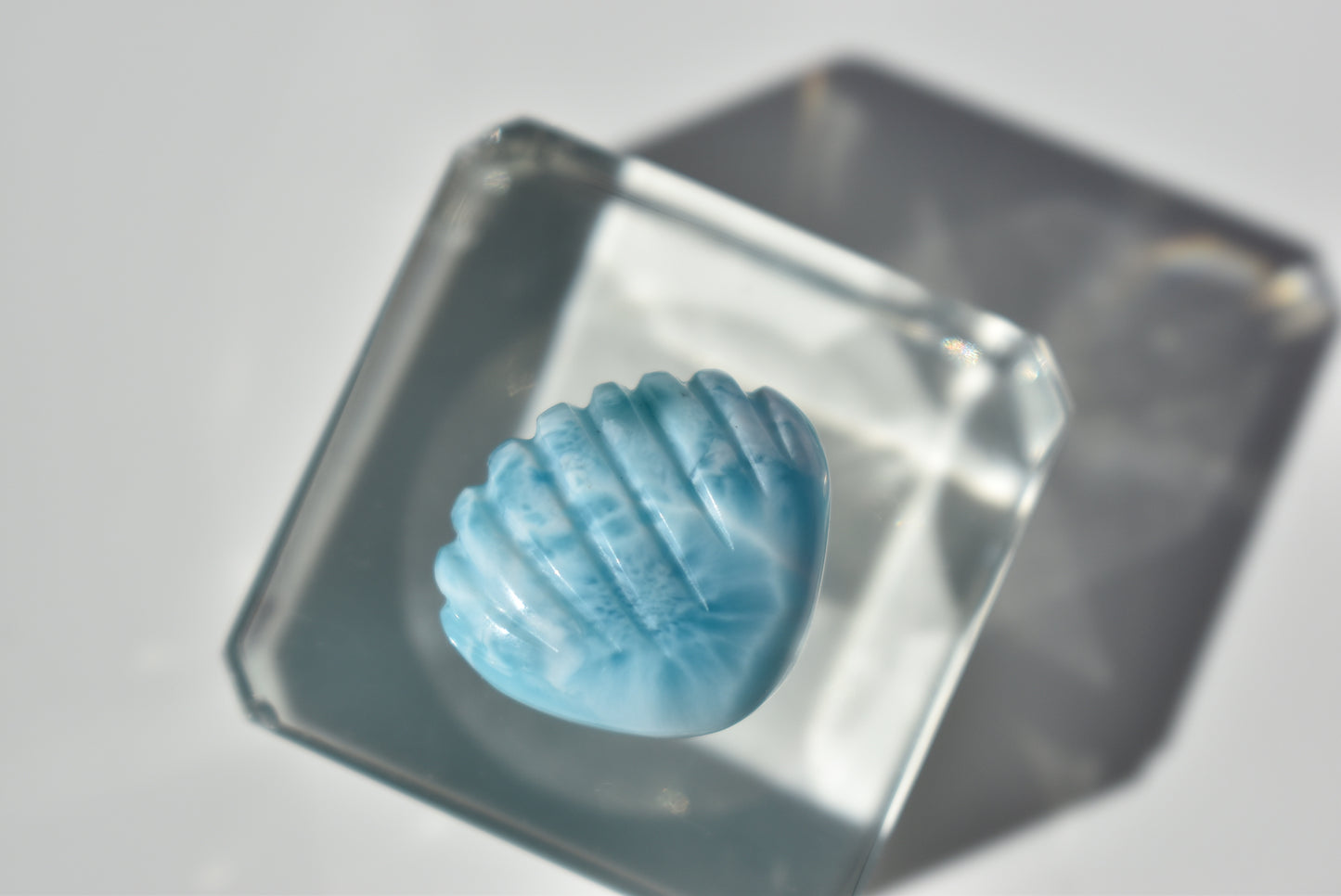 HG Larimar Shell Carving