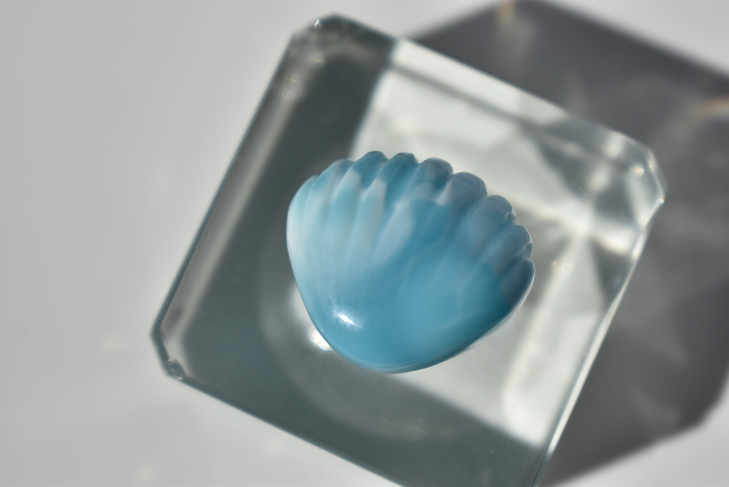 Premium Quality Larimar Shell Carving