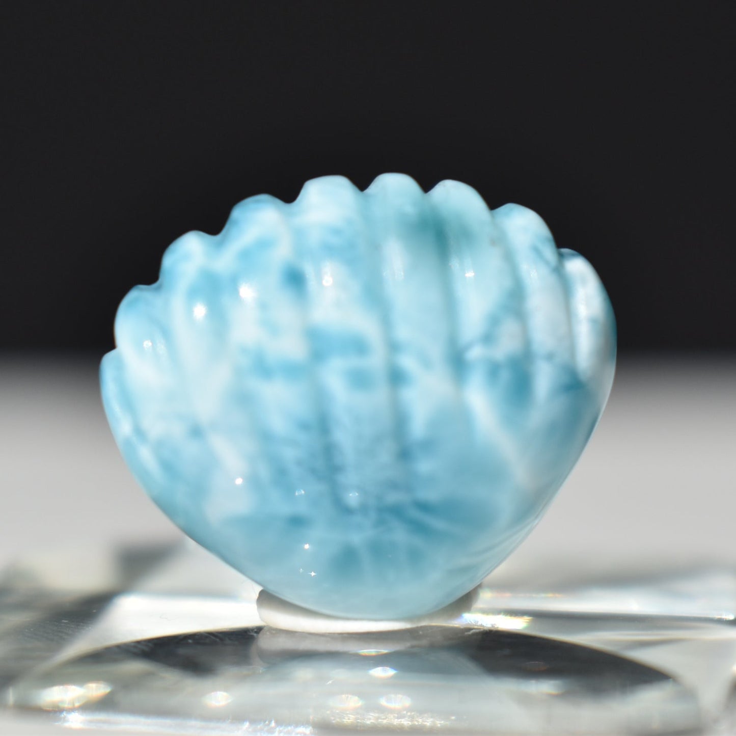 HG Larimar Shell Carving