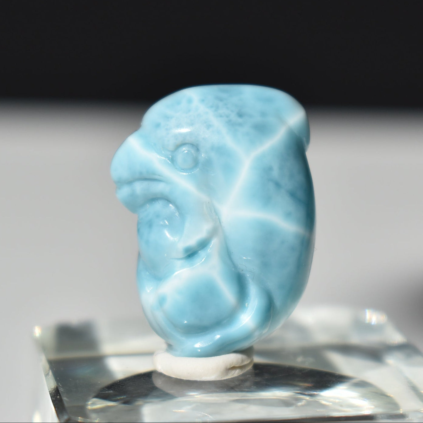 HG Larimar Dolphin Carving