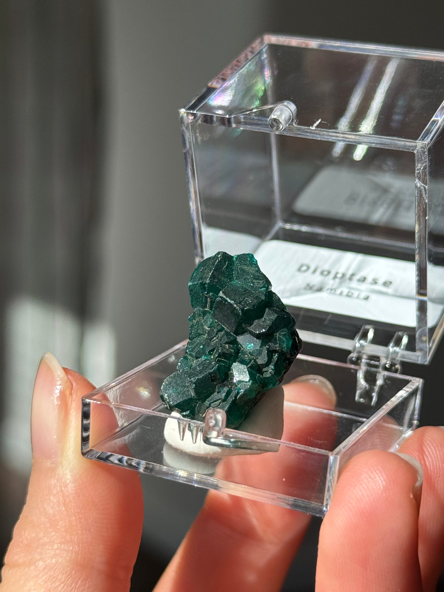 Dioptase 5.9g Specimen box