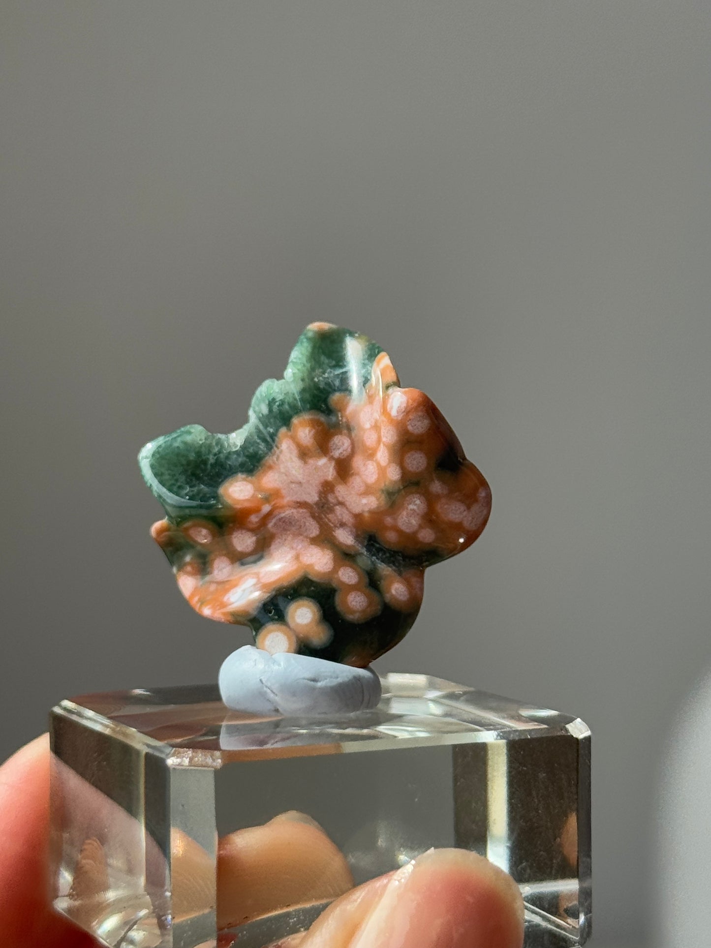 Old Stock Orbicular Ocean Jasper Butterfly 2 4g