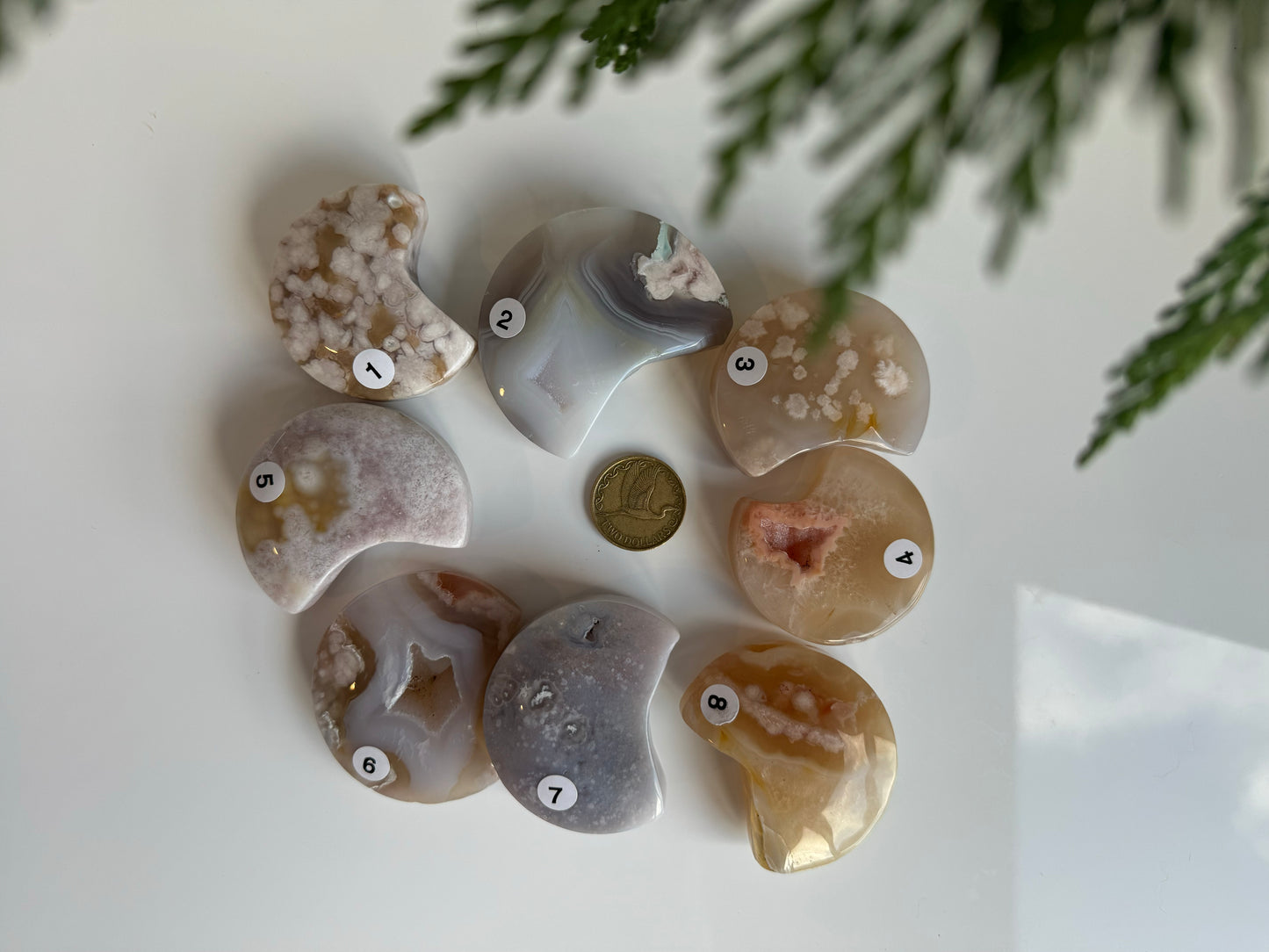 Blossom Flower Agate Moon