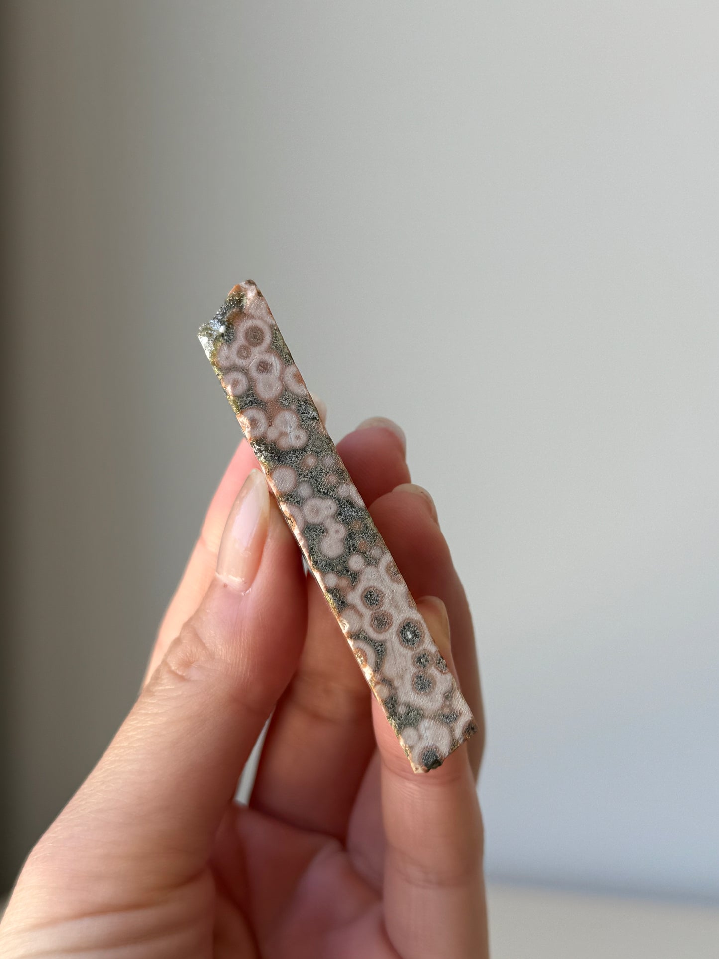 Old Stock Orbicular Ocean Jasper Raw 2, 23g