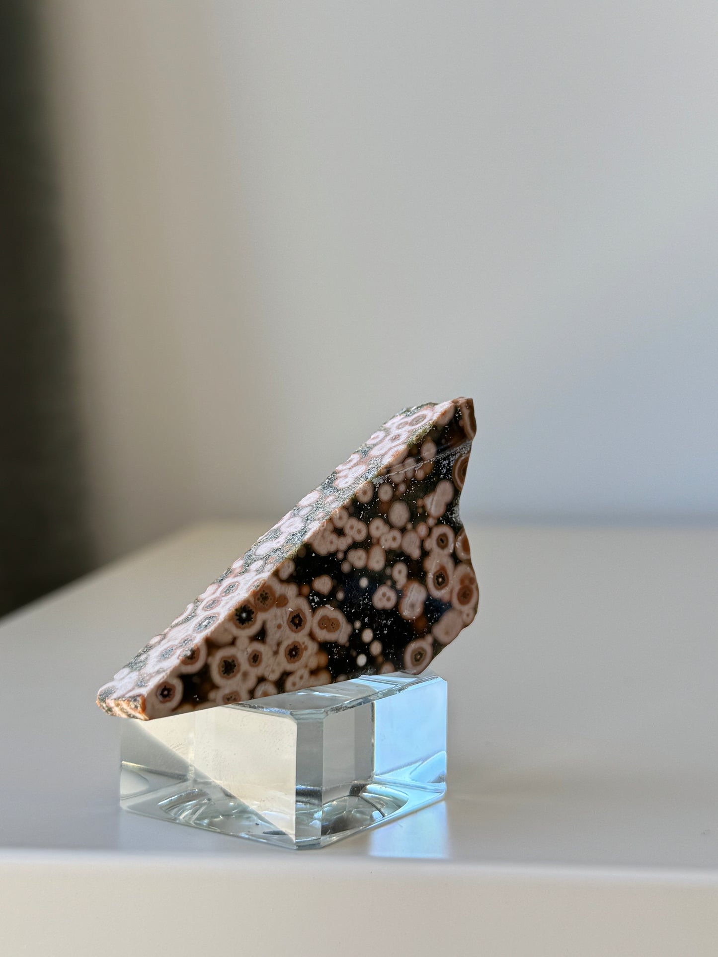 Old Stock Orbicular Ocean Jasper Raw 2, 23g