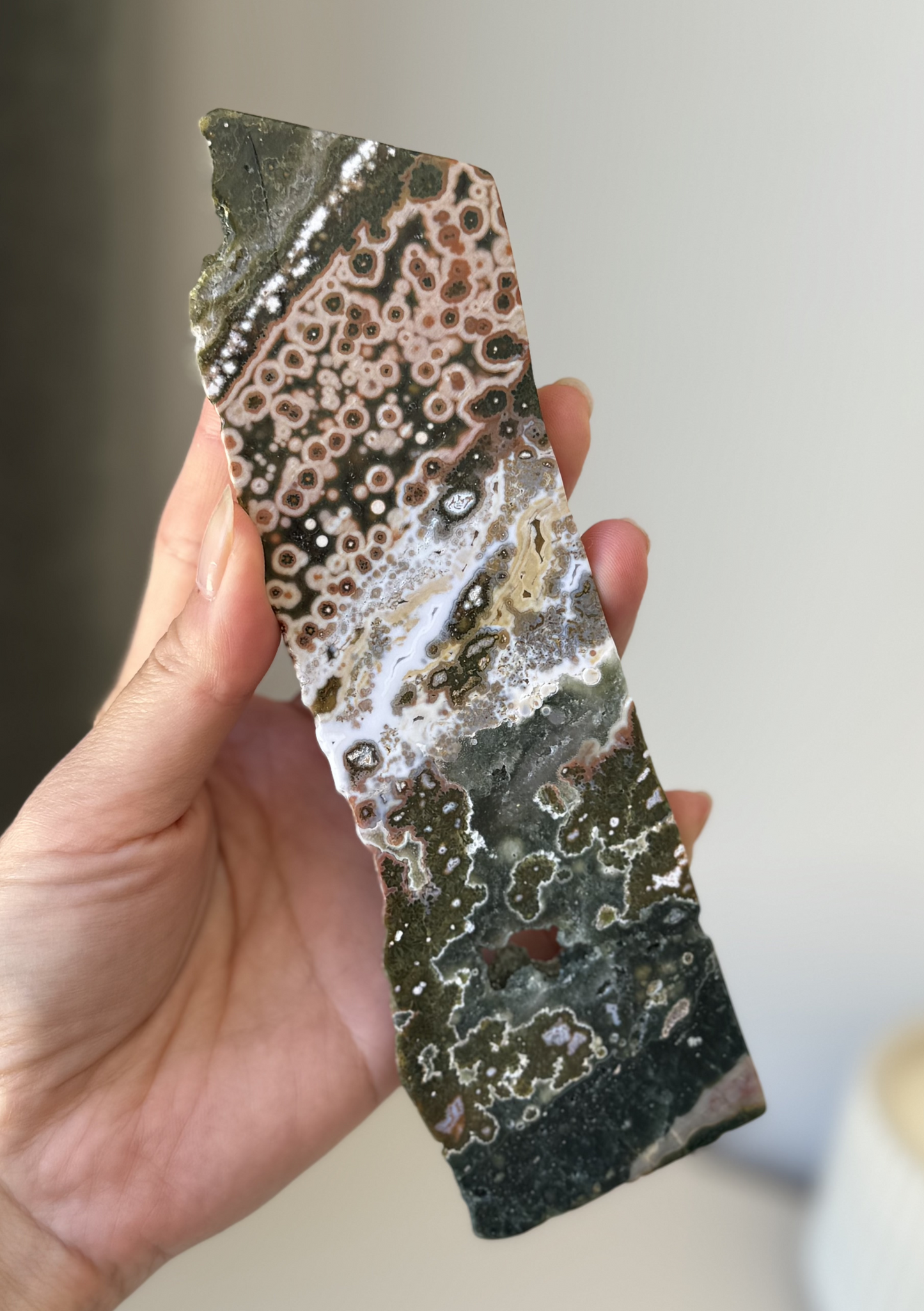 Old Stock Orbicular Ocean Jasper Slab 163g