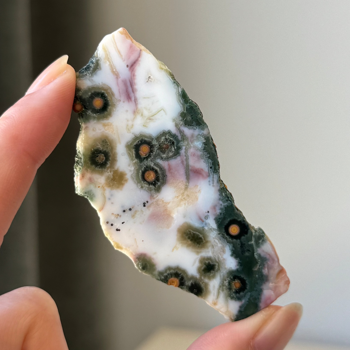 Old Stock Orbicular Ocean Jasper Slab 11g