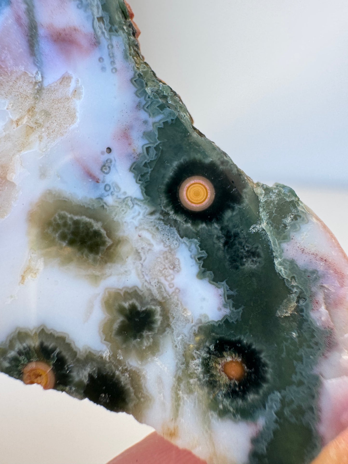 Old Stock Orbicular Ocean Jasper Slab 11g