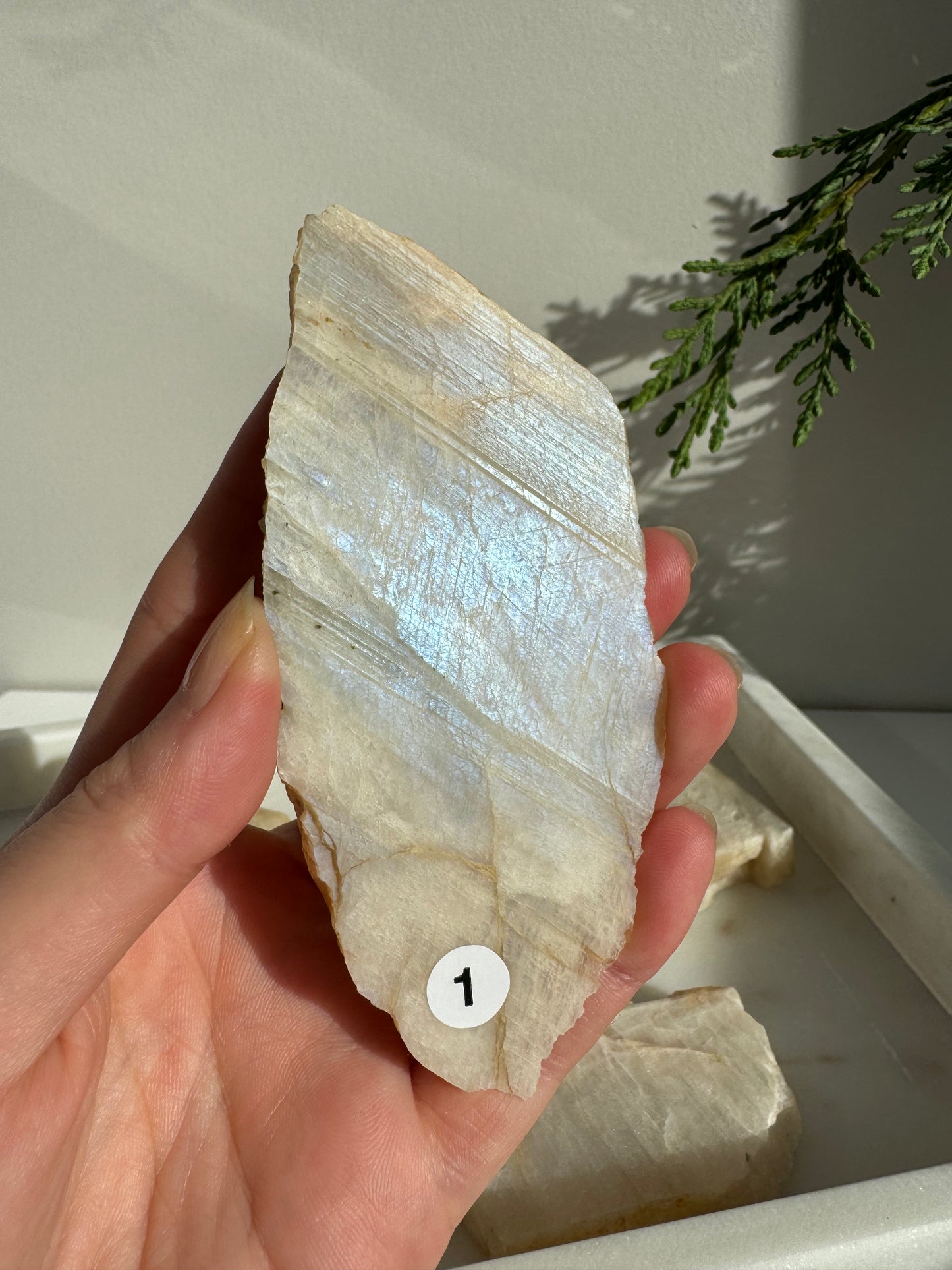 Moonstone Slab with full blue flash