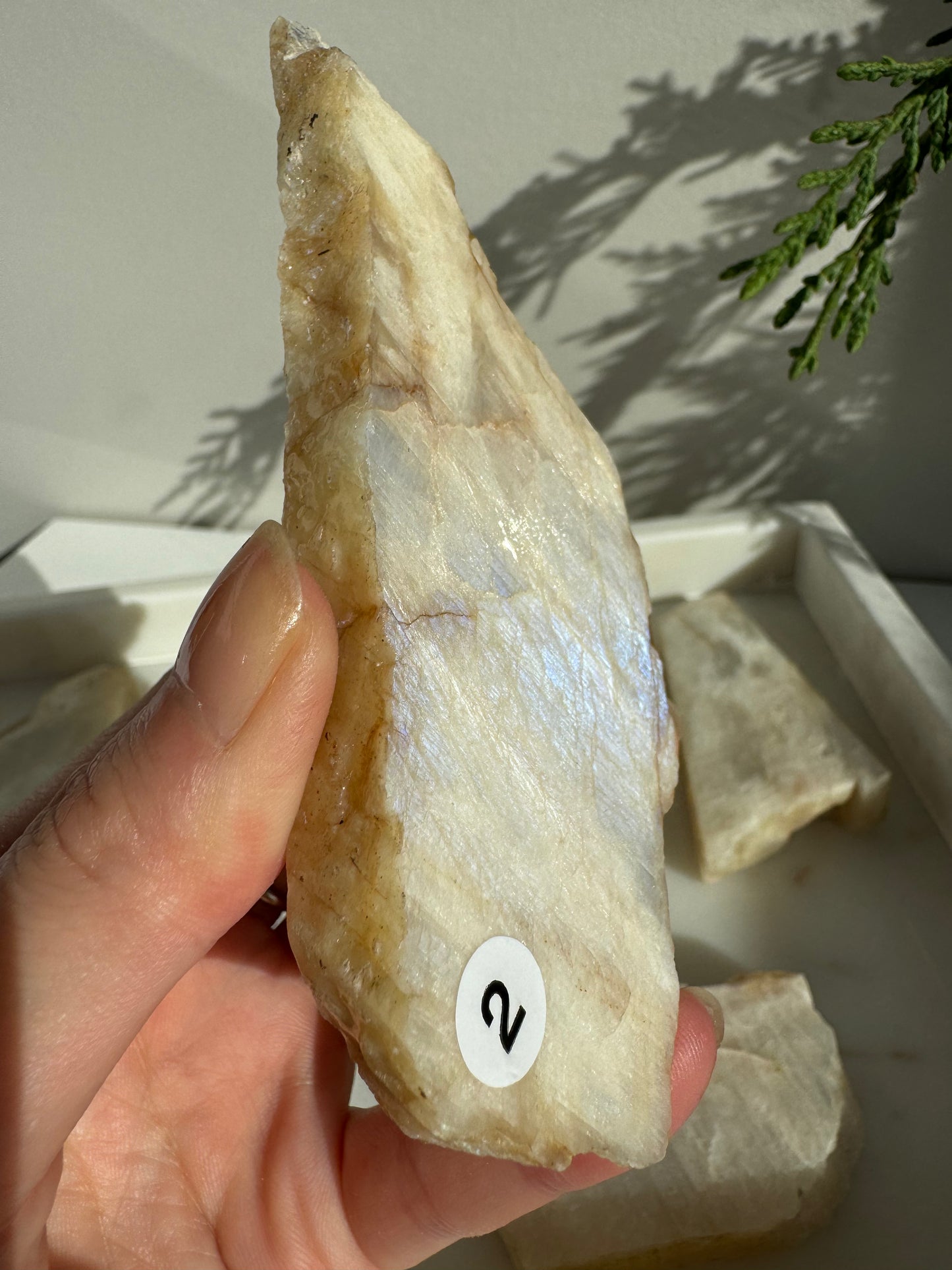 Moonstone Slab with full blue flash