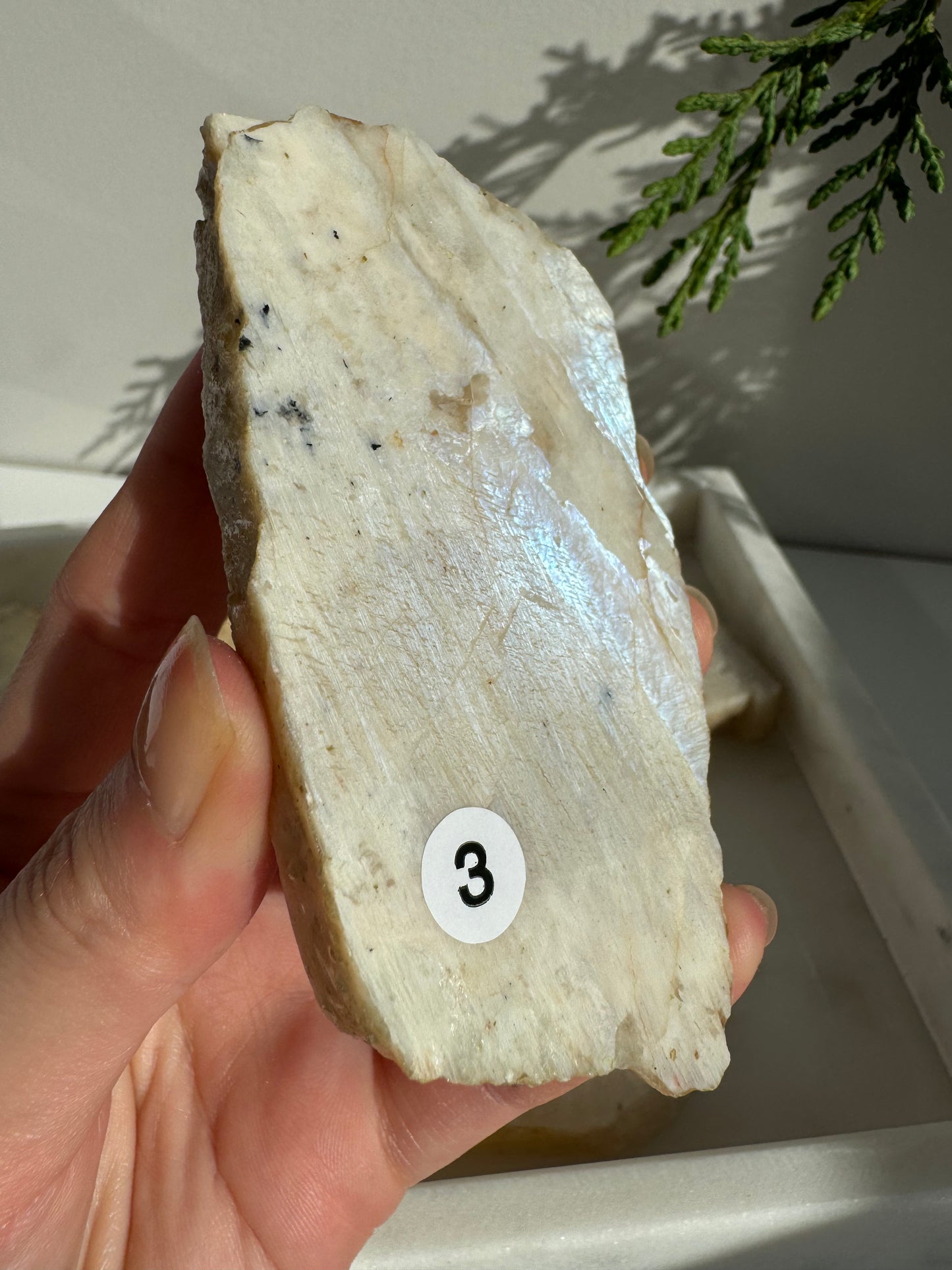 Moonstone Slab with full blue flash