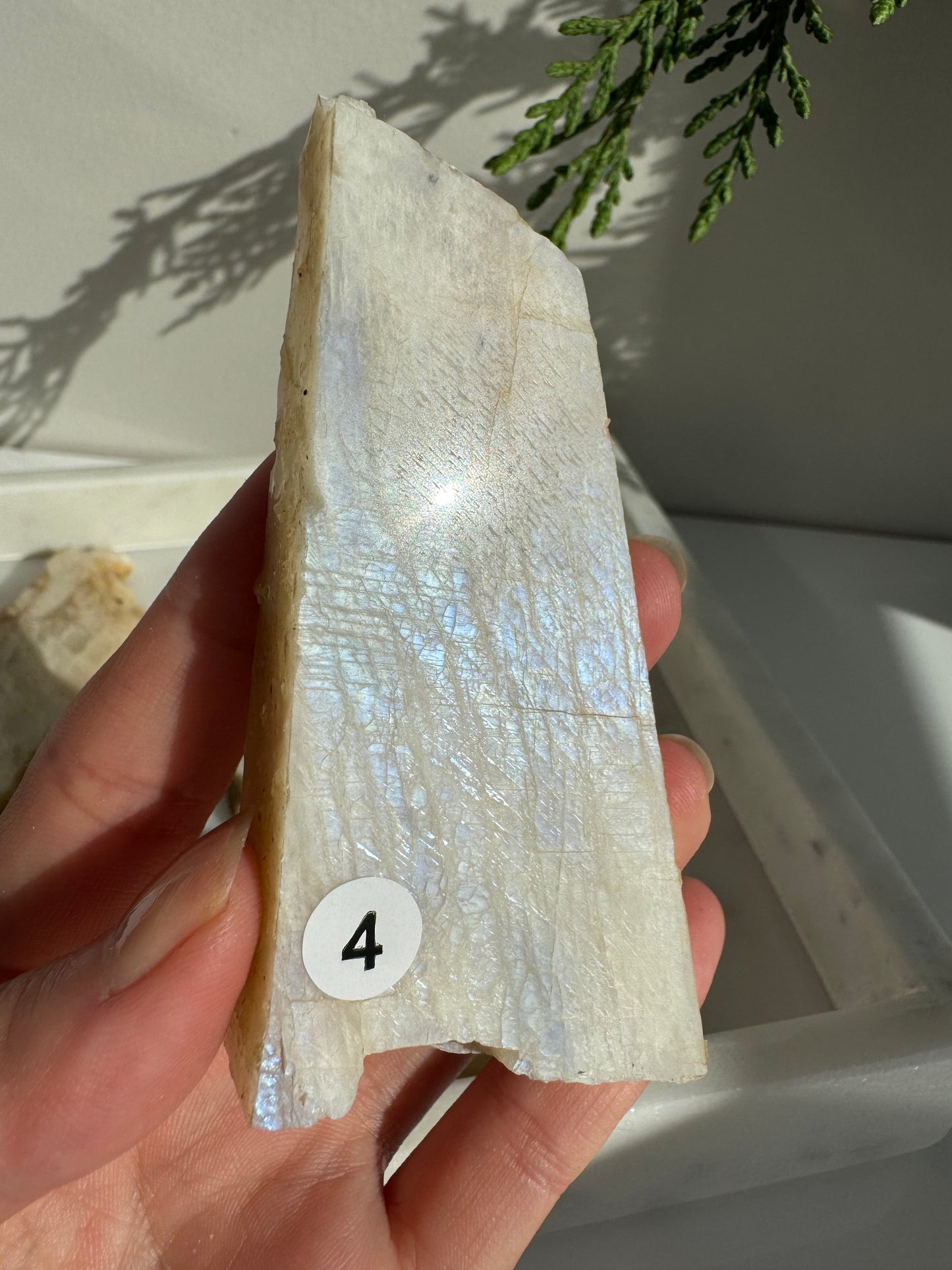Moonstone Slab with full blue flash