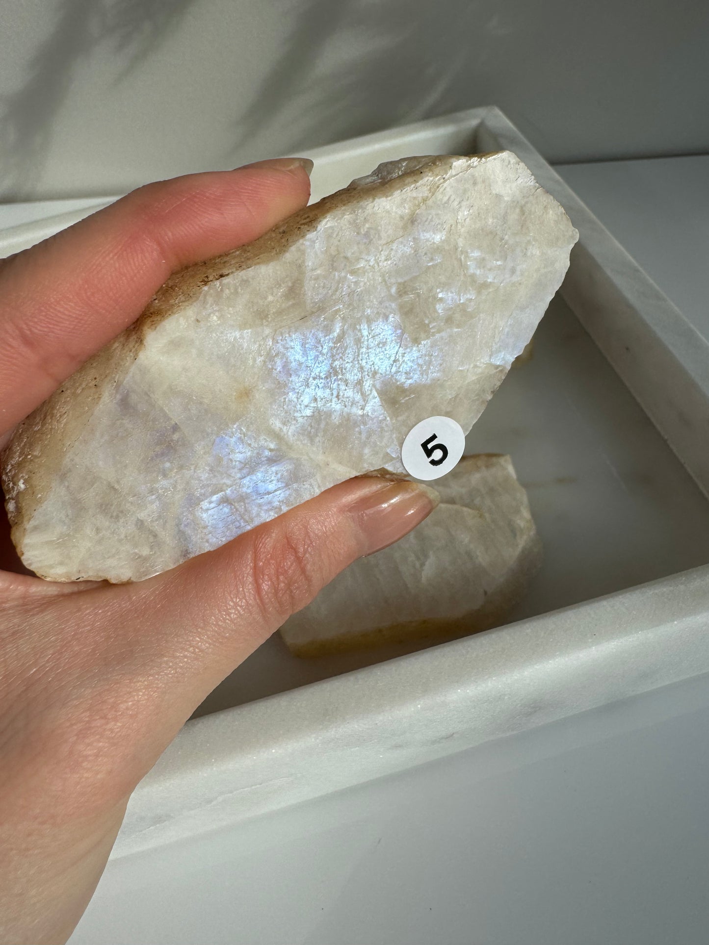 Moonstone Slab with full blue flash