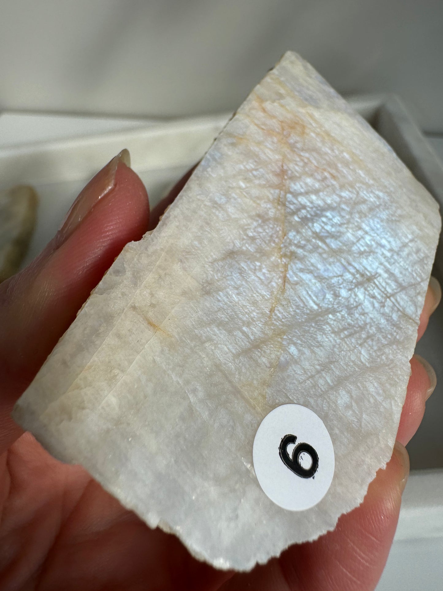 Moonstone Slab with full blue flash