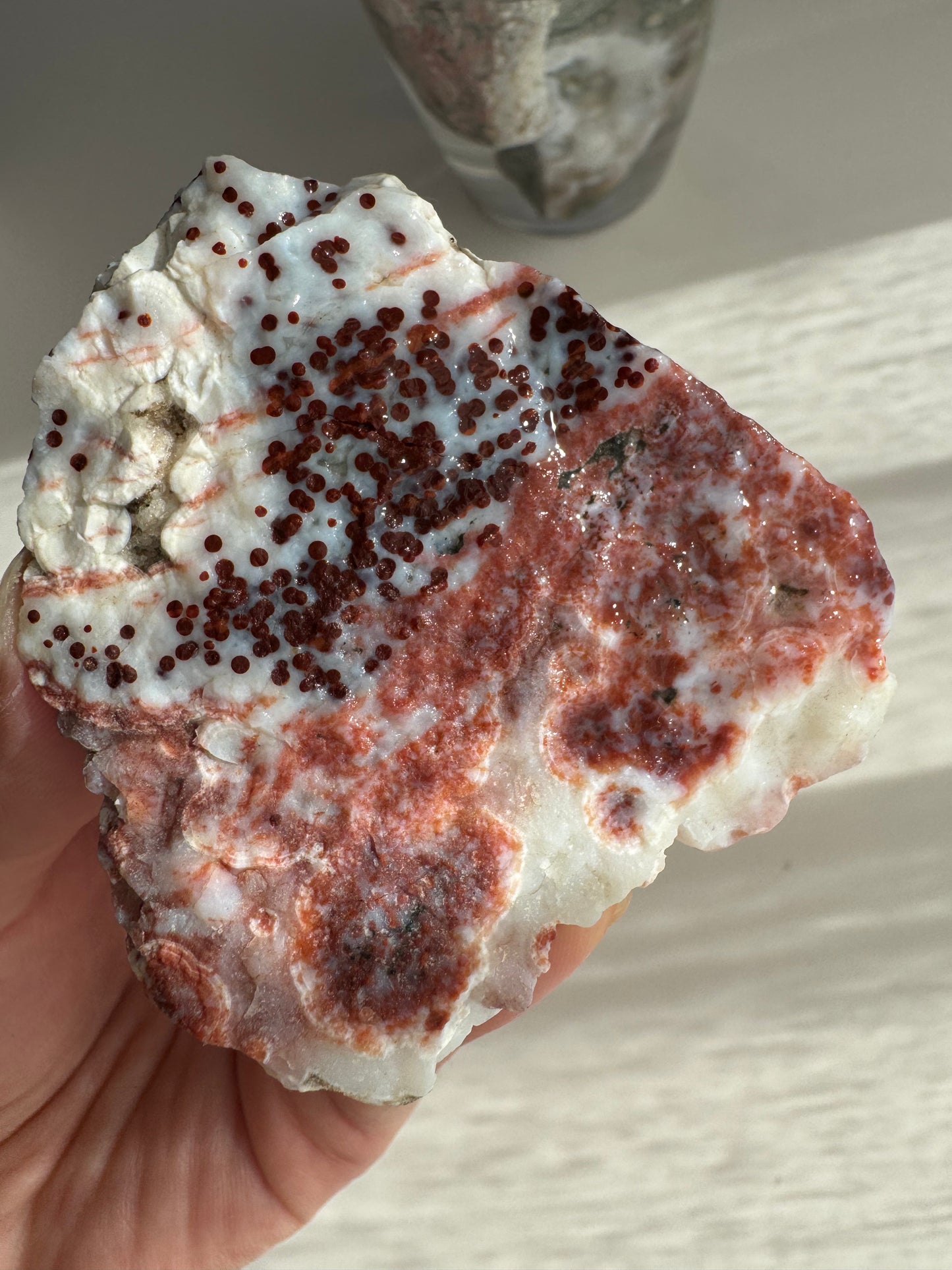 Old Stock Druzy Orbicular Ocean Jasper Raw 3