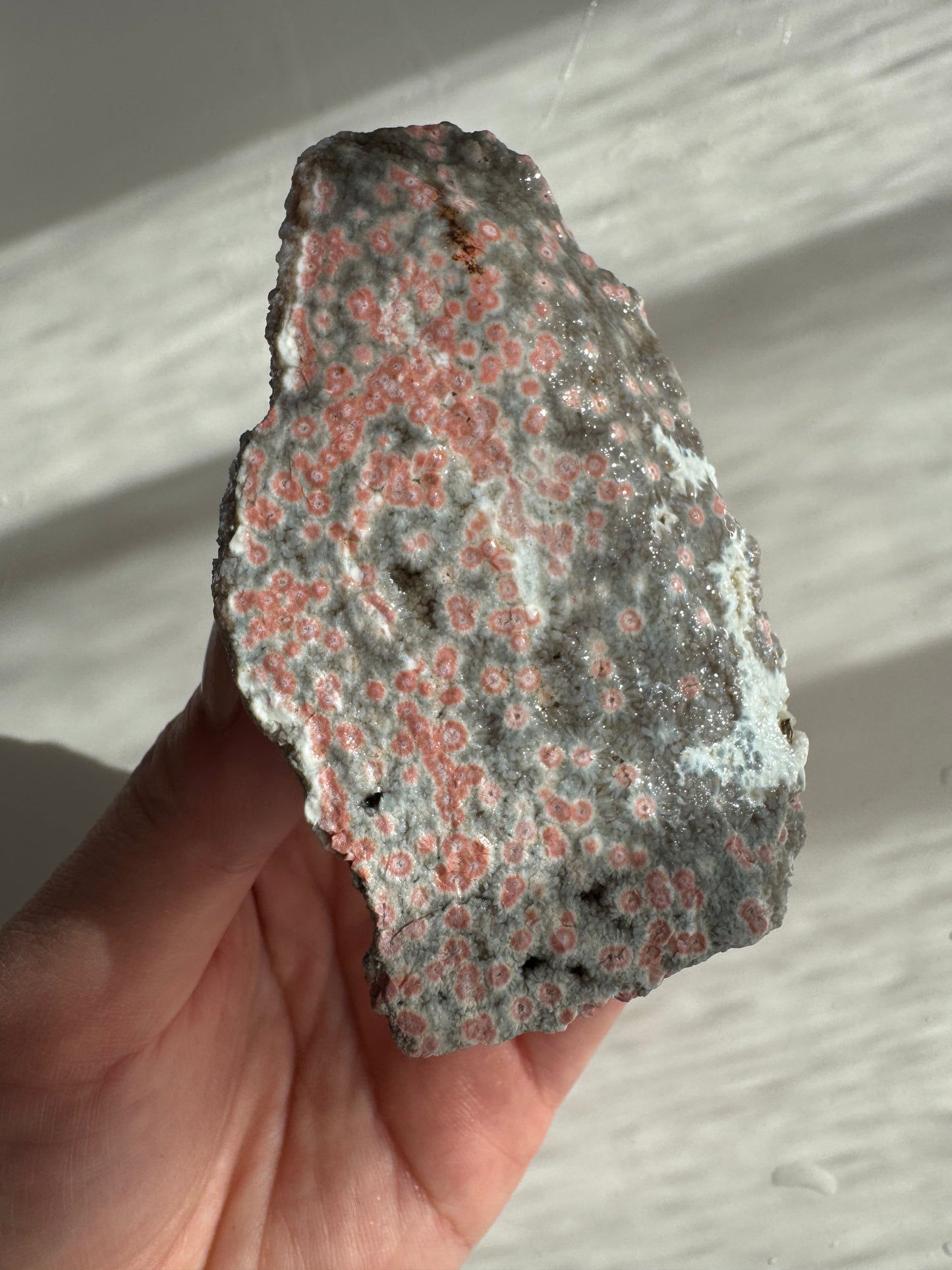 Old Stock Druzy Orbicular Ocean Jasper Raw 2