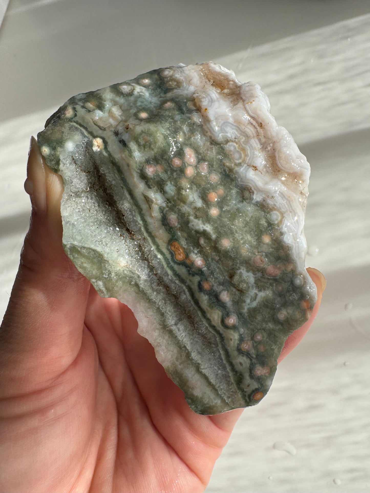 Old Stock Druzy Orbicular Ocean Jasper Raw 1