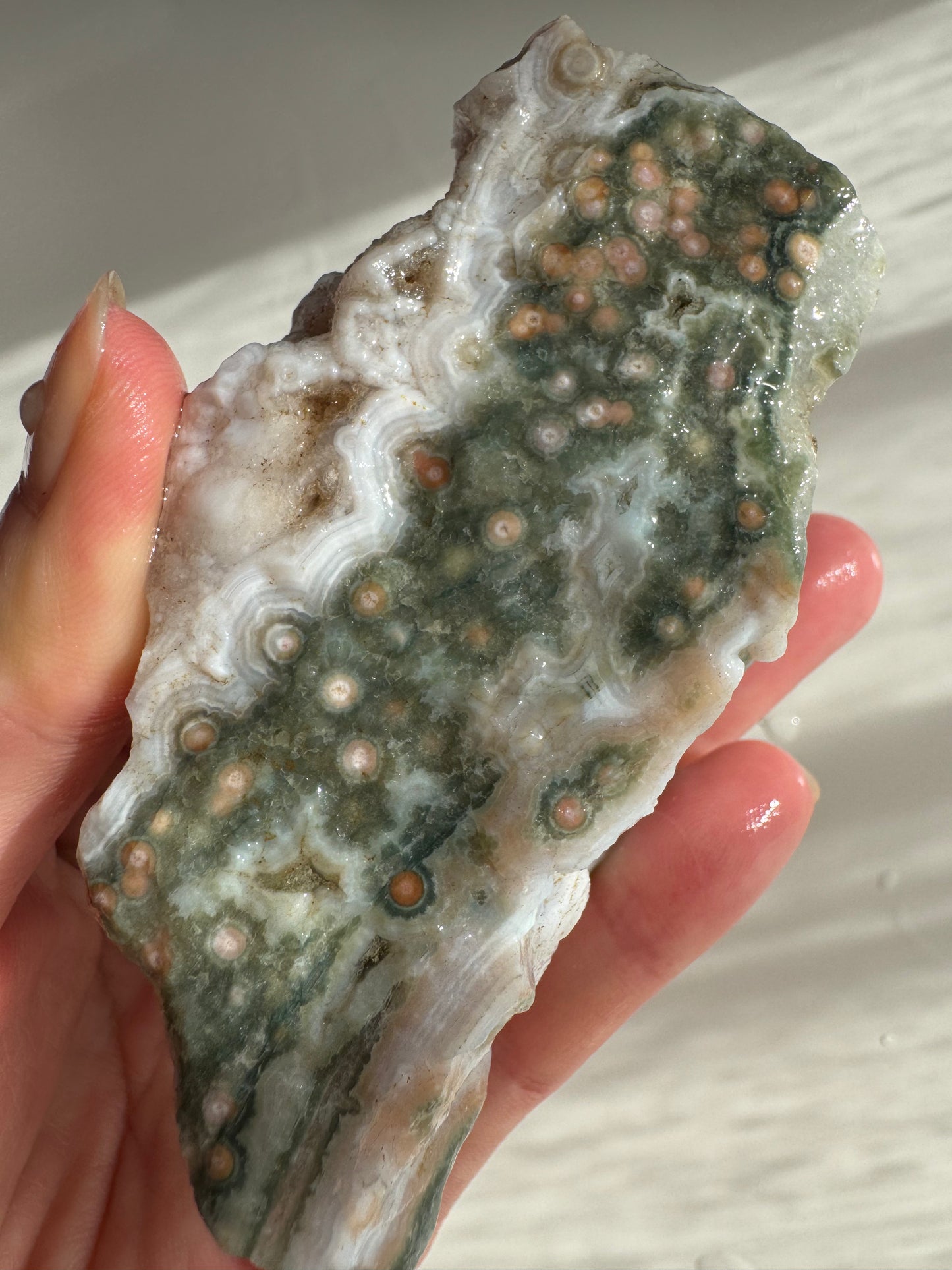 Old Stock Druzy Orbicular Ocean Jasper Raw 1