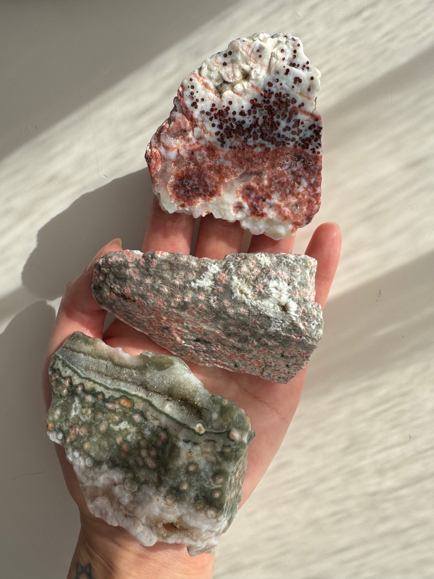Old Stock Druzy Orbicular Ocean Jasper Raw 3
