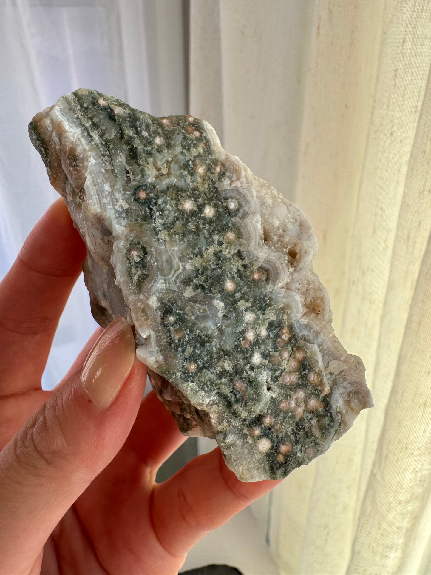 Old Stock Druzy Orbicular Ocean Jasper Raw 1