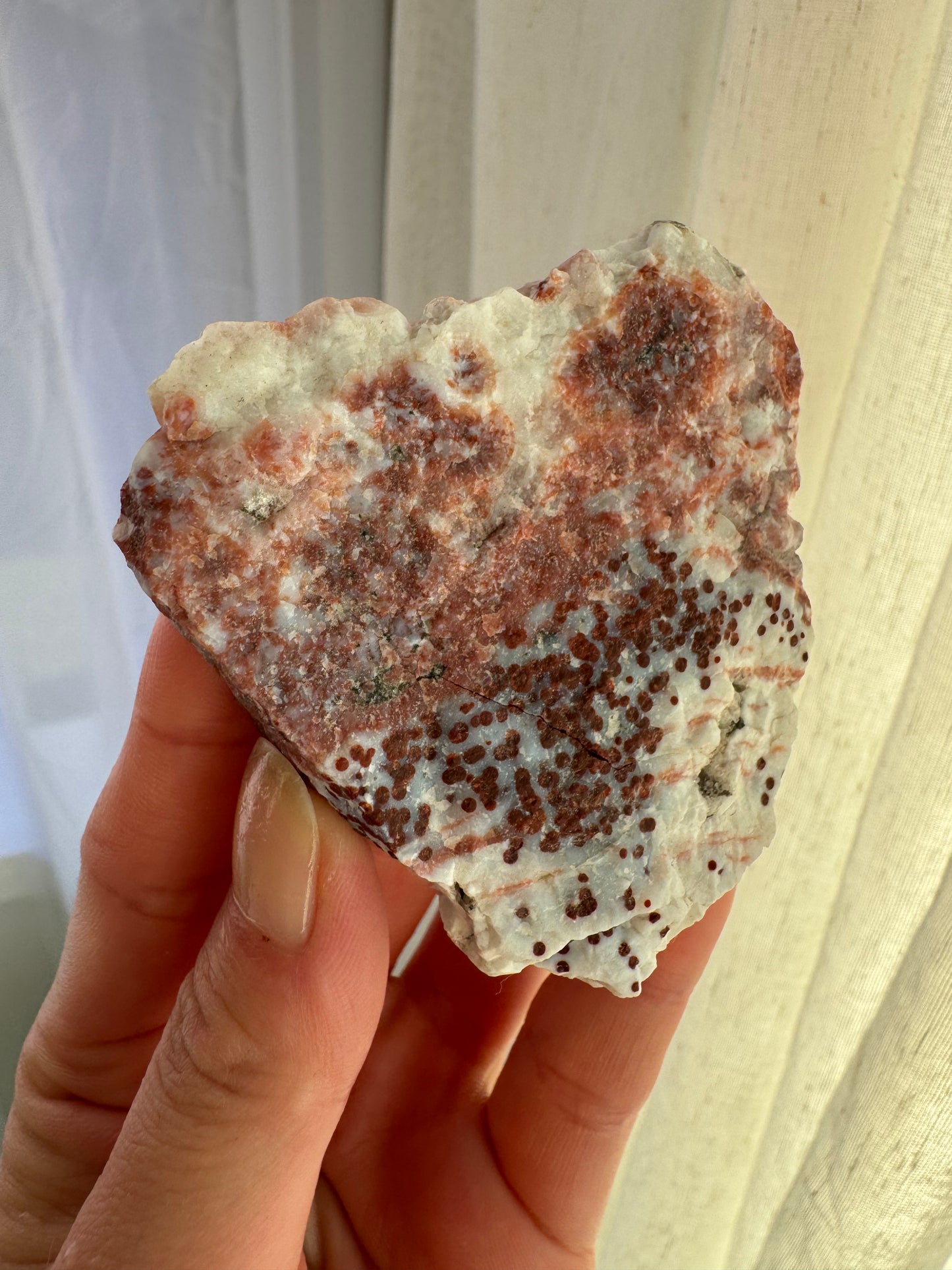Old Stock Druzy Orbicular Ocean Jasper Raw 3