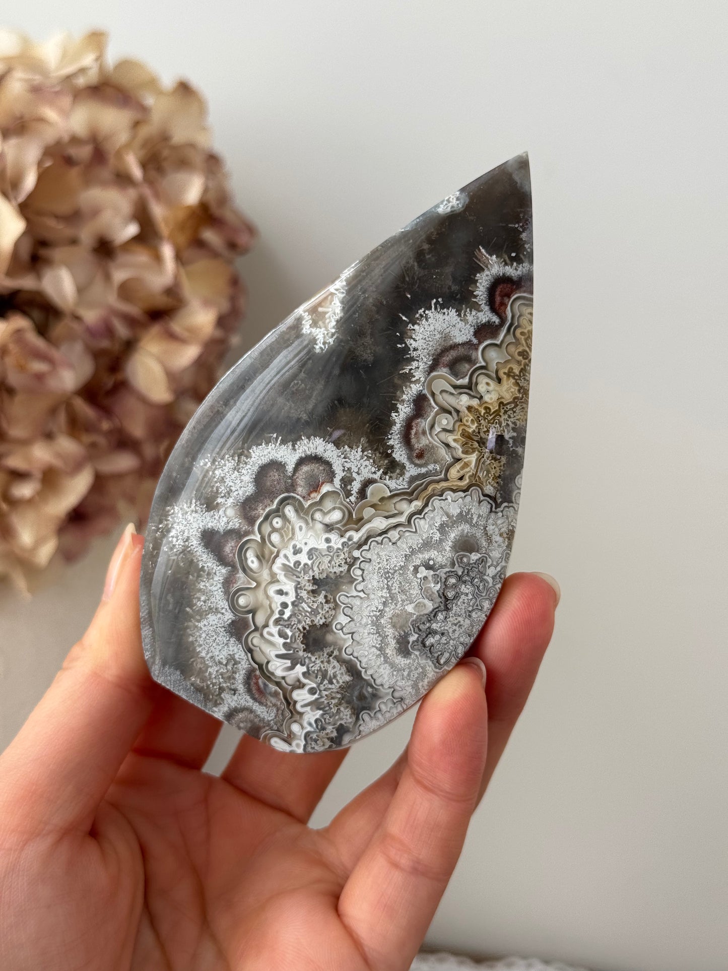 Mexican Crazy Lace Agate Flame #1