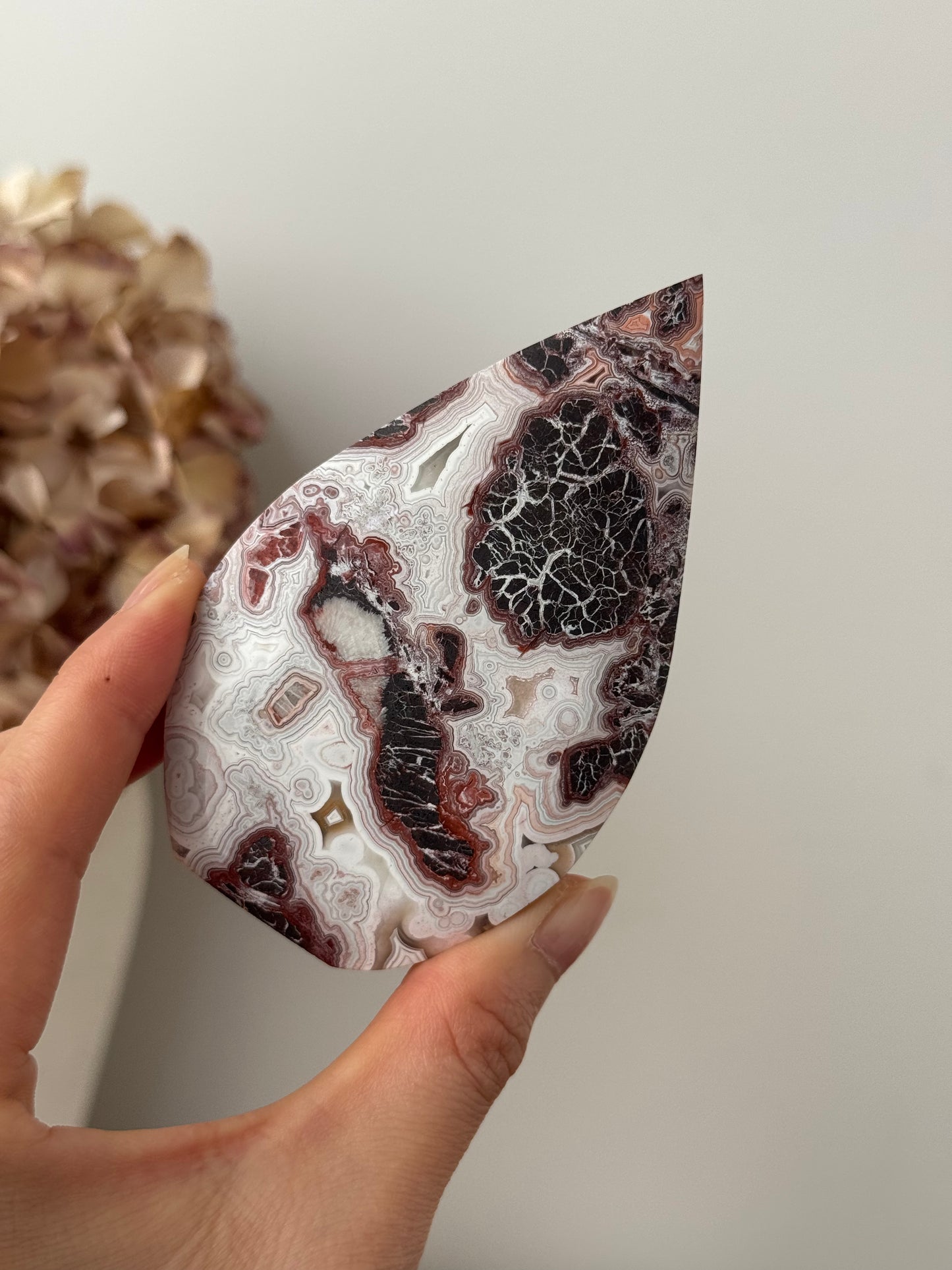 Mexican Crazy Lace Agate Flame #7