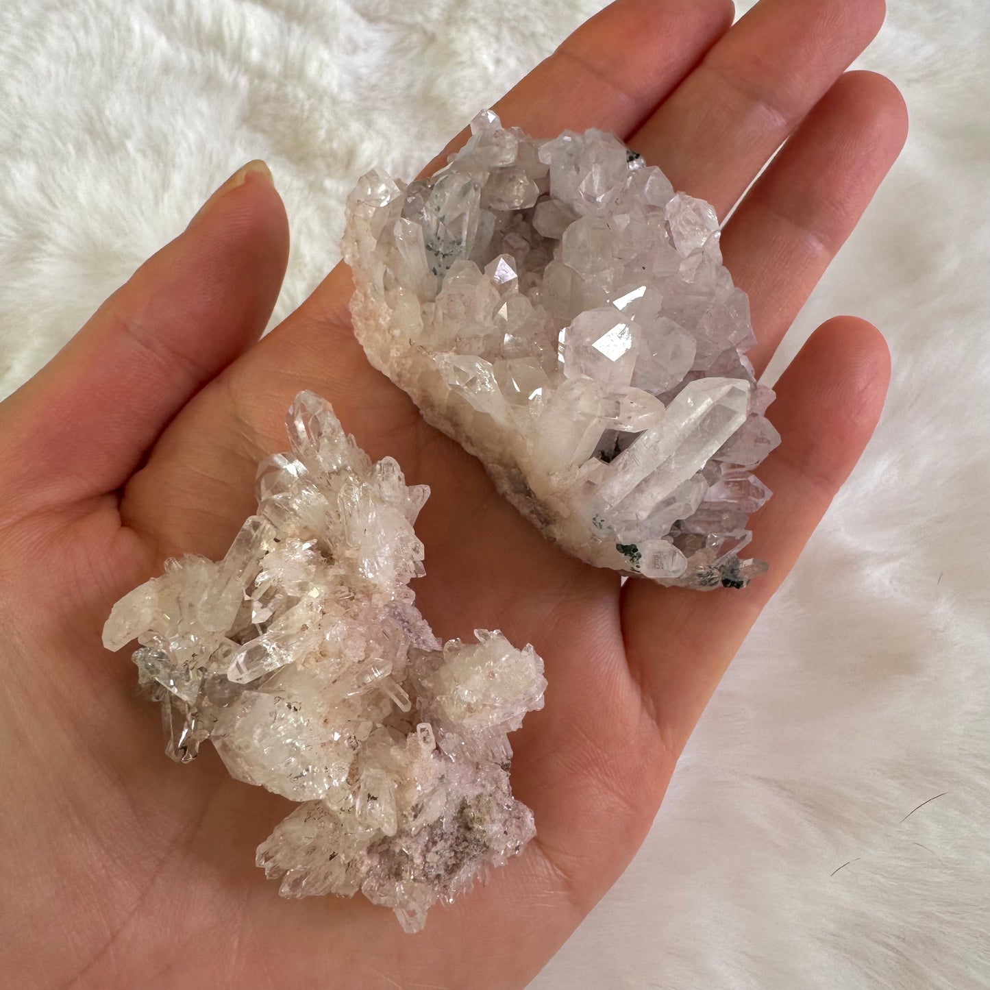 Pink Himalayan Cluster