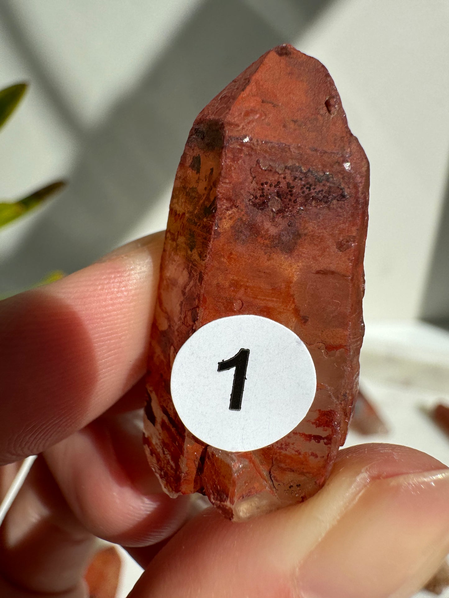 Tibetan Quartz Raw point ( Red Exterior)